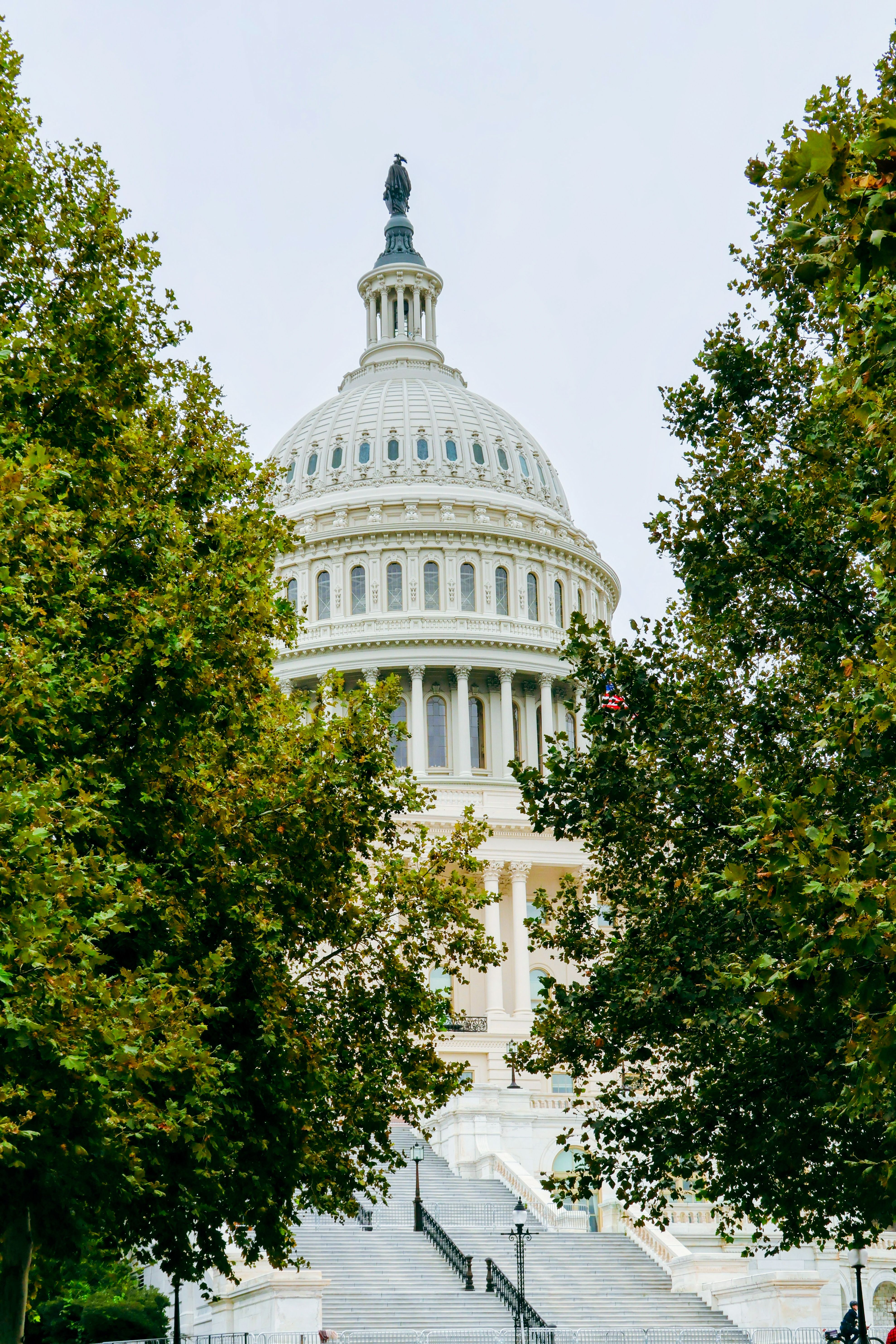 US Capitol Building Framed by Trees in Autumn · Free Stock Photo