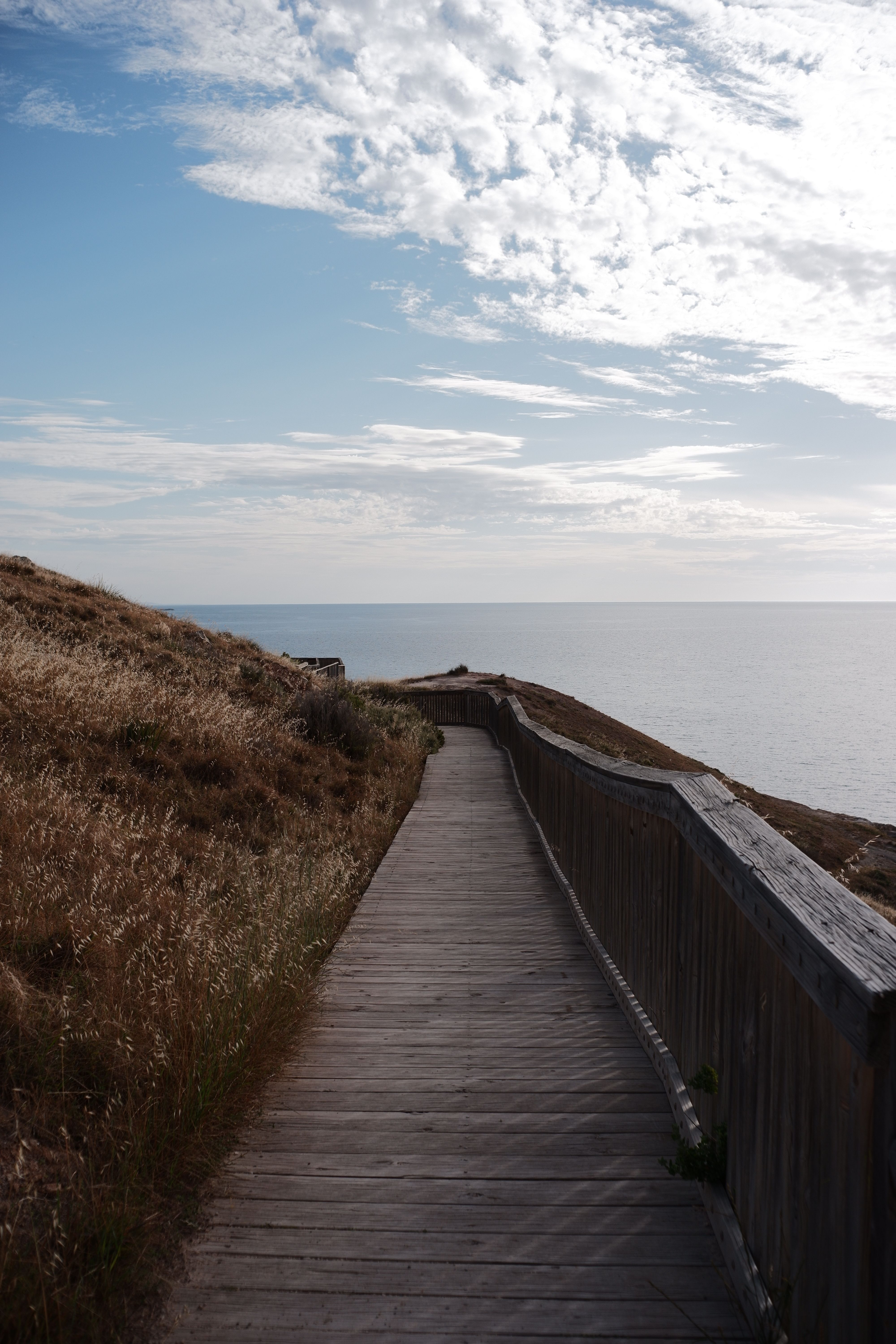 Scenic Coastal Pathway with Ocean View · Free Stock Photo