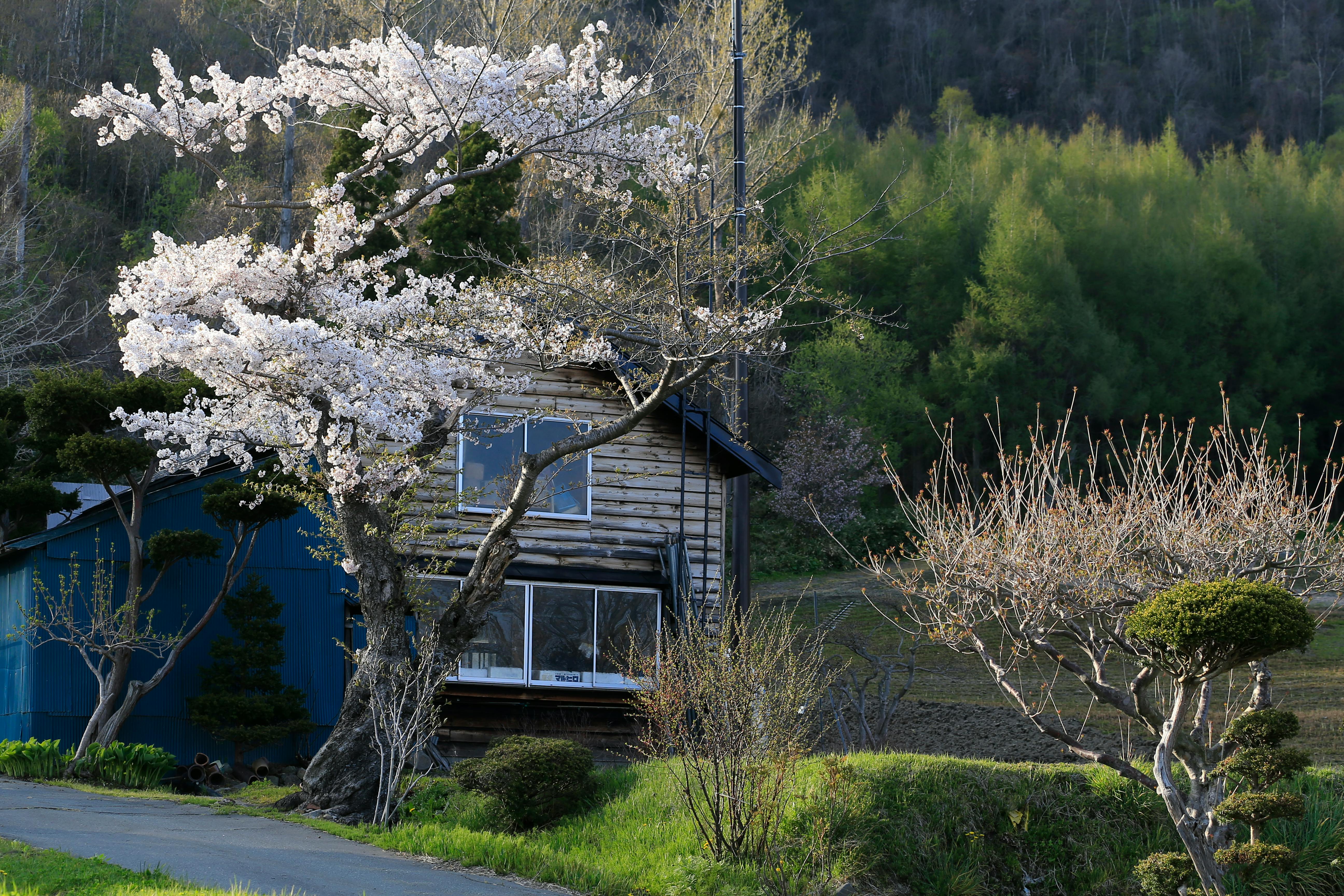 Give your home a spring reset for less than $100 with these DIY home improvement projects — Photo by Jeffry Surianto on Pexel