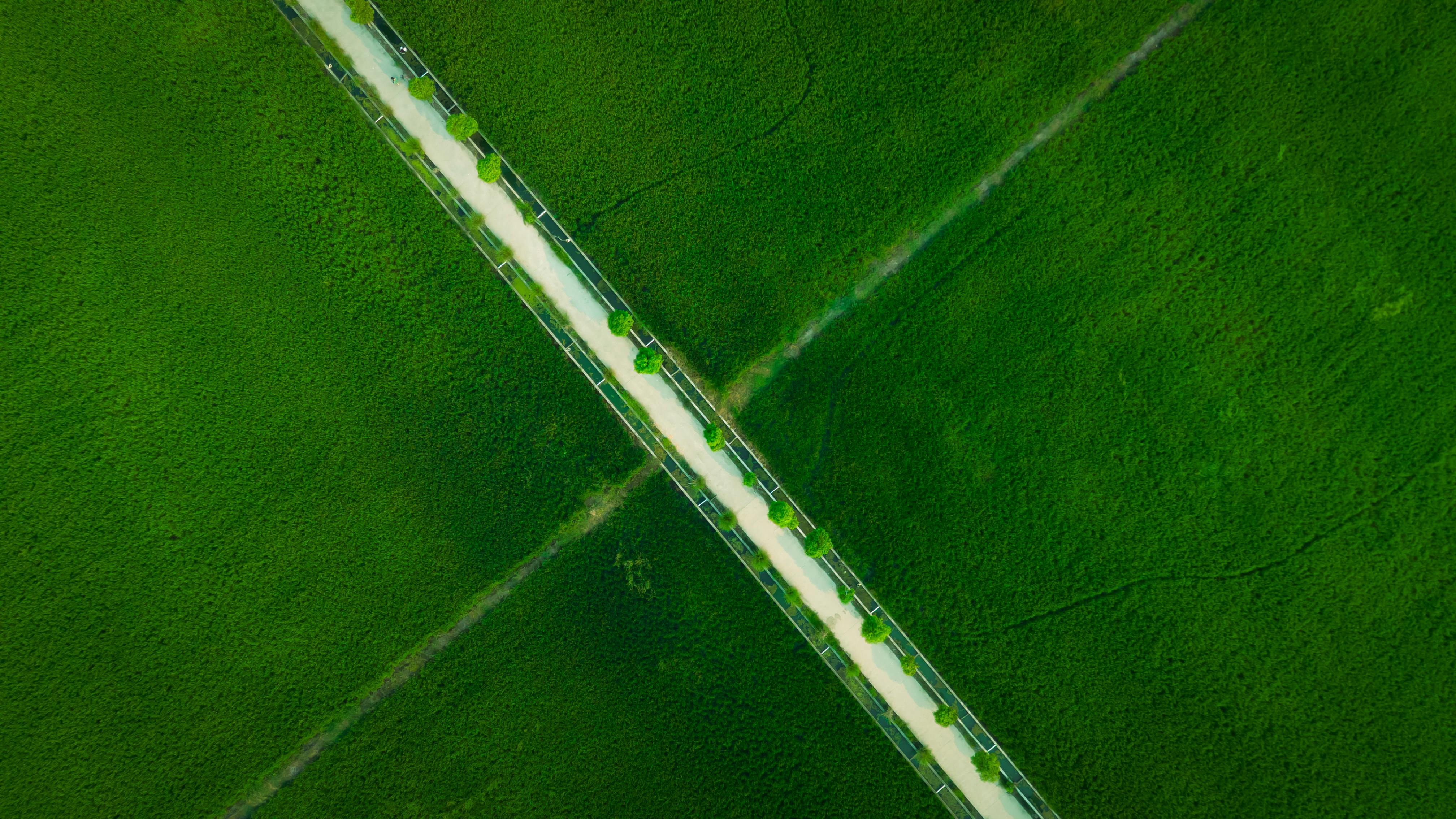 免費 無人機拍攝的中國浙江省杭州市鬱鬱蔥蔥的田野與一條公路交錯的畫面。 圖庫相片