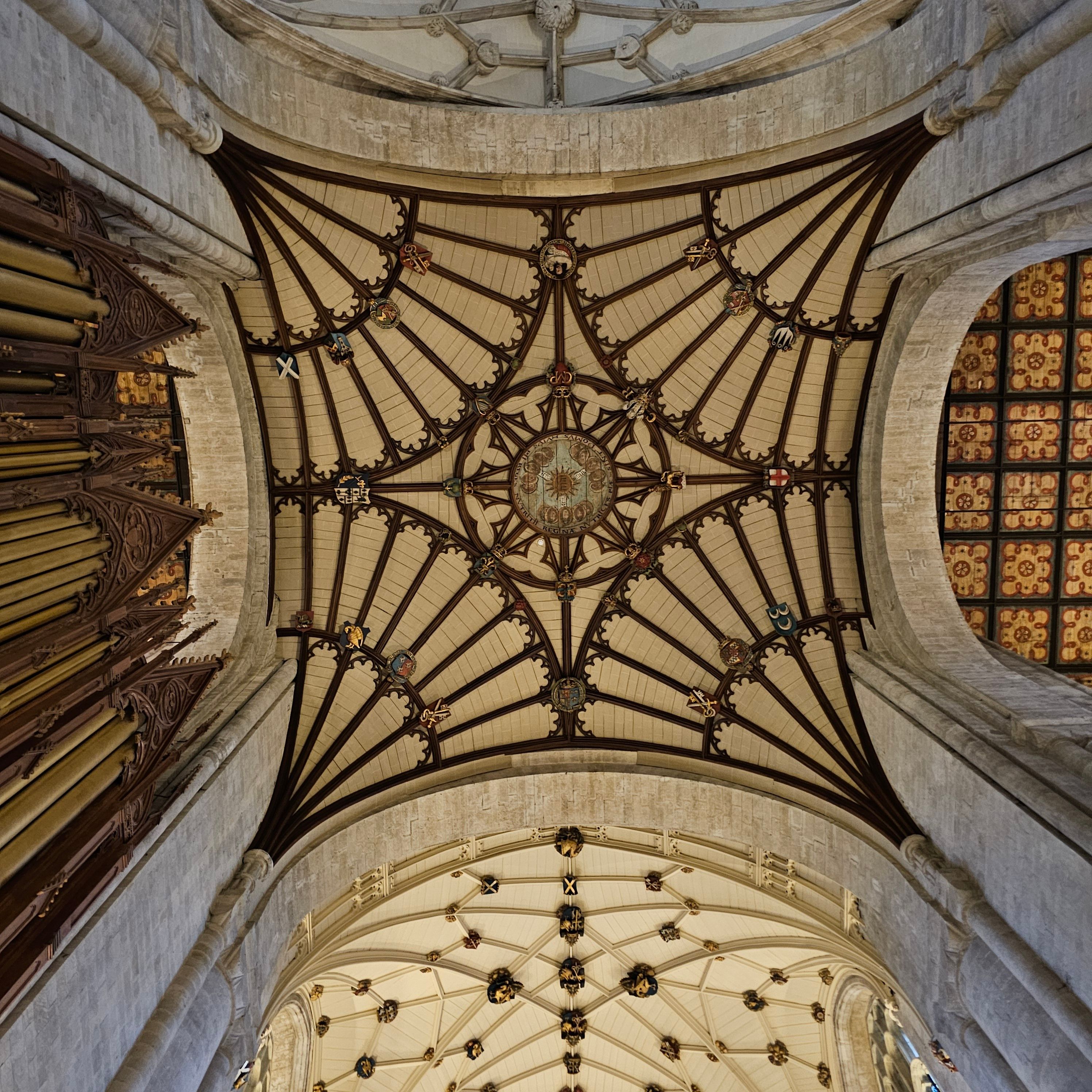Intricate Gothic cathedral ceiling showcasing detailed arches, vaults, and organ pipes. Perfect for architectural admiration.