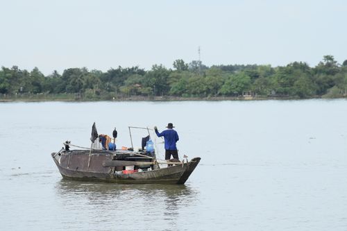 Free A fisherman on a traditional boat navigating a calm river with lush greenery in the background. Stock Photo