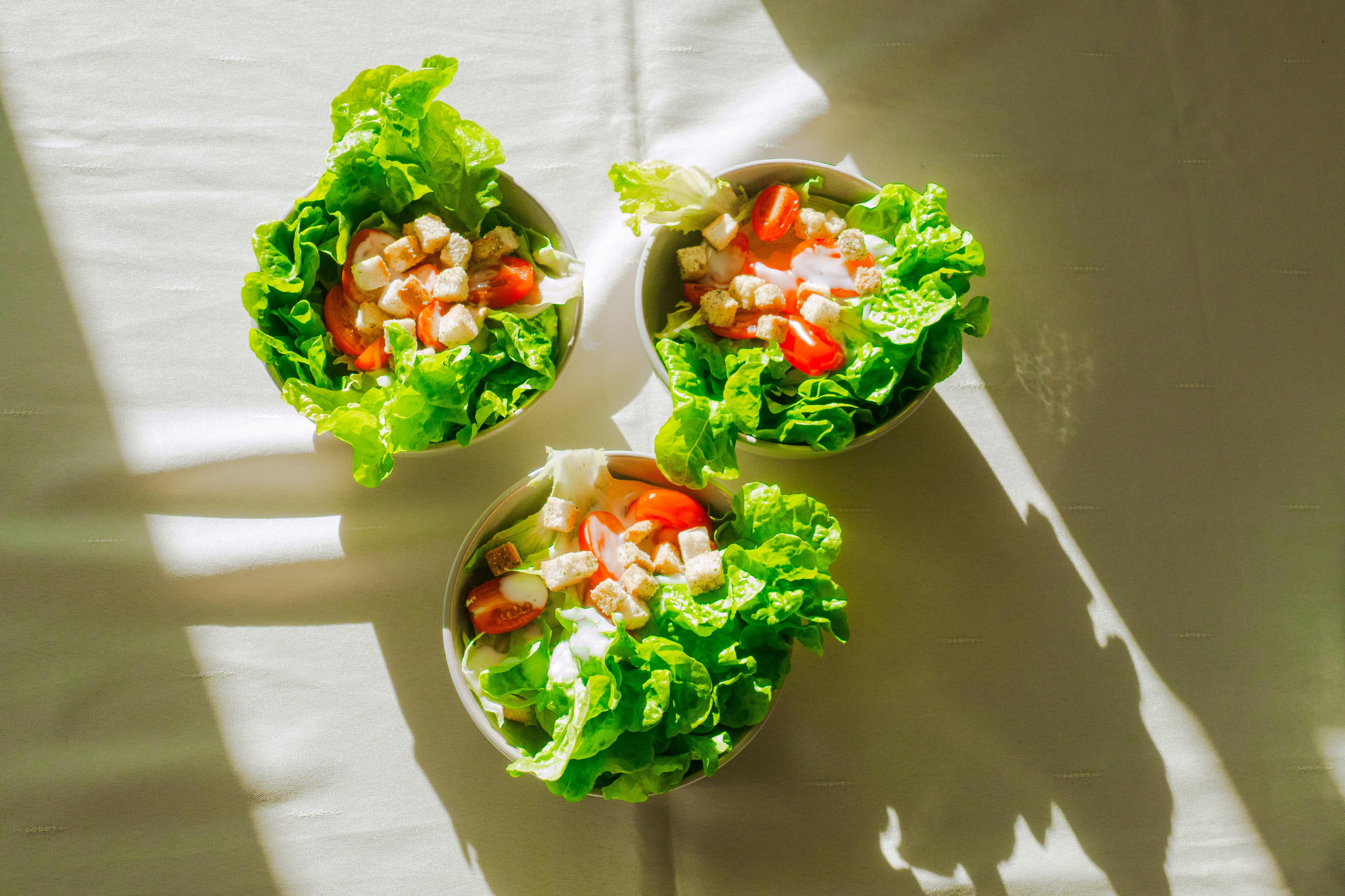 崑大餐飲系跨文化料理驚豔國際評審 2025台北國際廚藝賽勇奪10獎