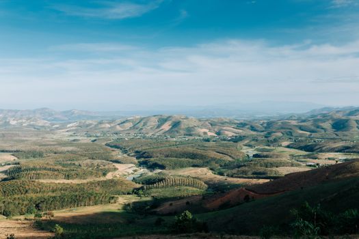 view