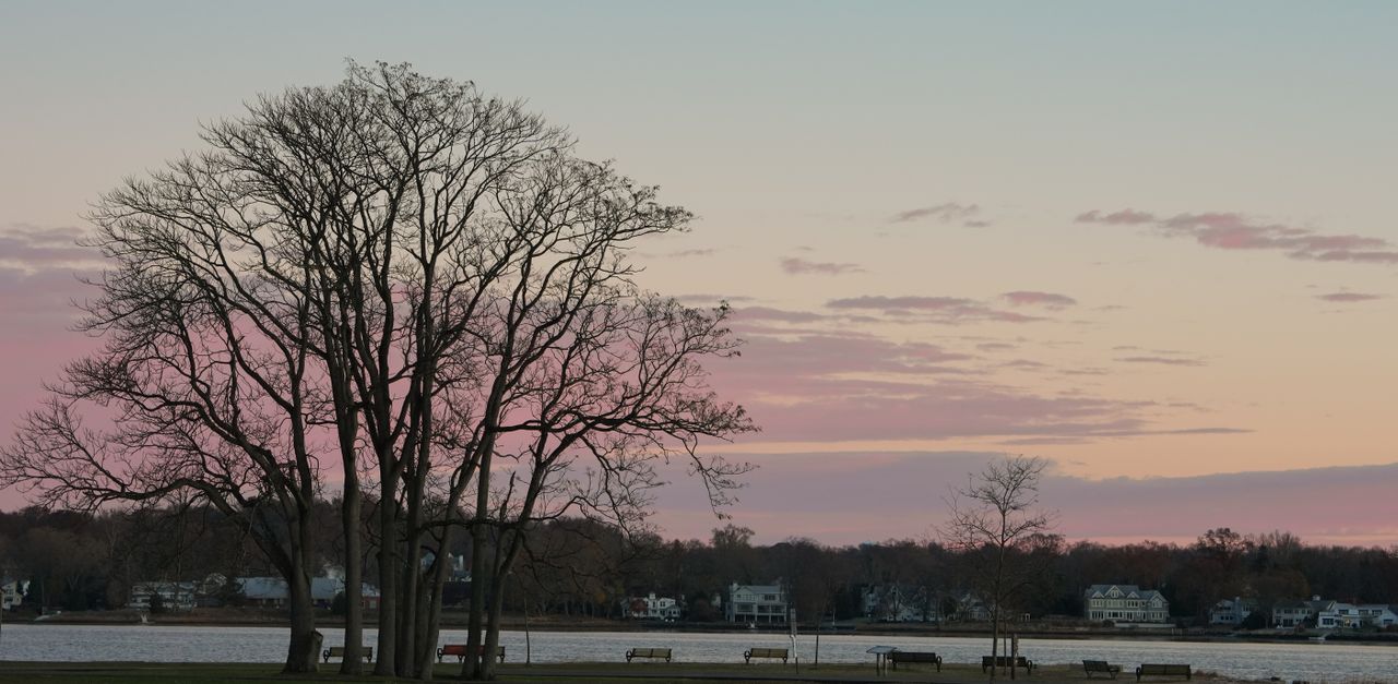New Haven