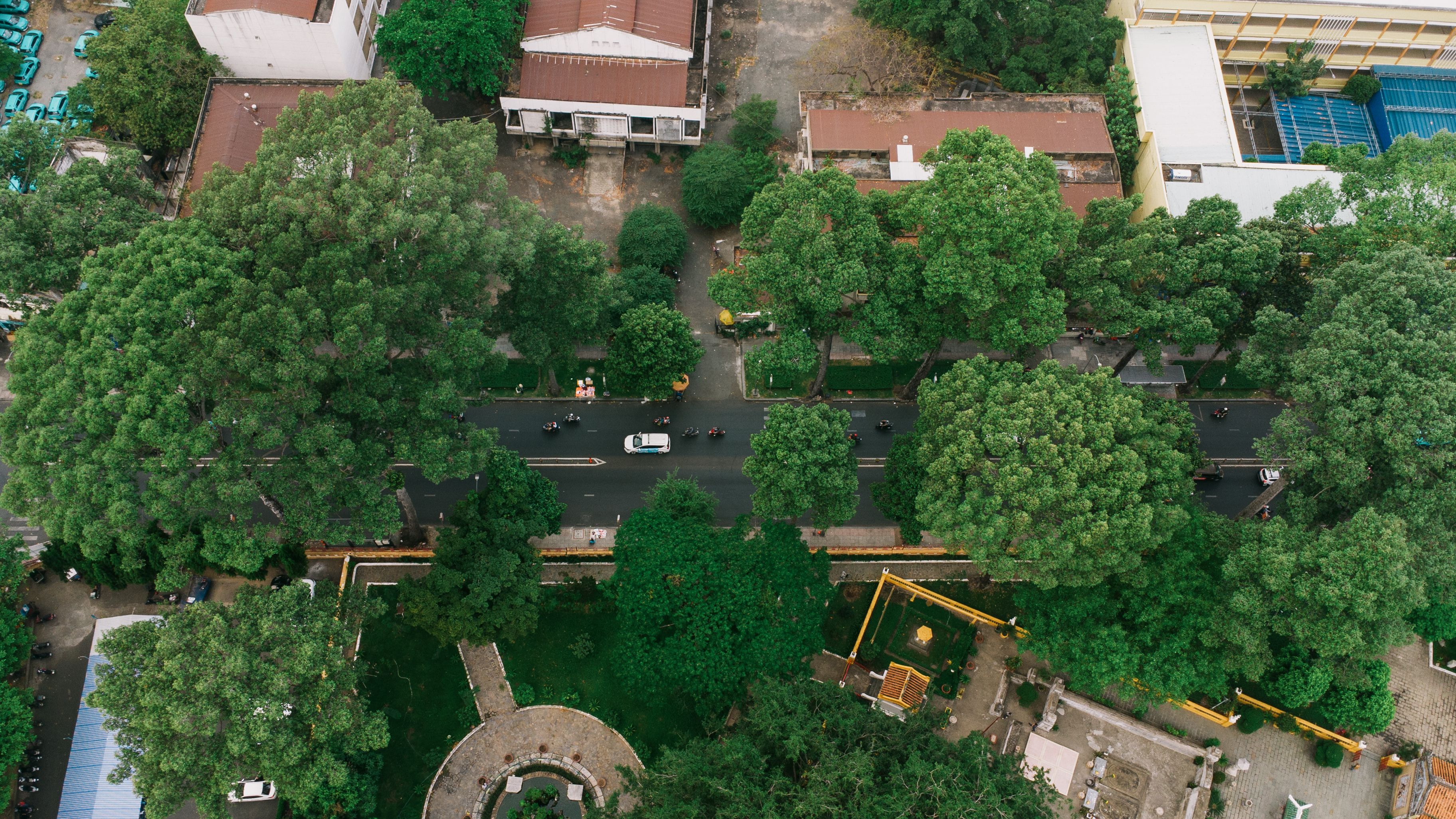 Are Any U.S Cities Running Completely on Green Energy? Just 3 — Photo by Nguyen Duc Toan on Pexels
