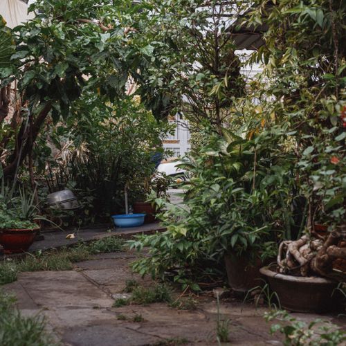 Free A serene urban garden filled with lush greenery and a small paved pathway. Stock Photo