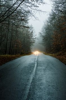A misty forest road with car headlights piercing through the fog, creating an atmospheric scene.