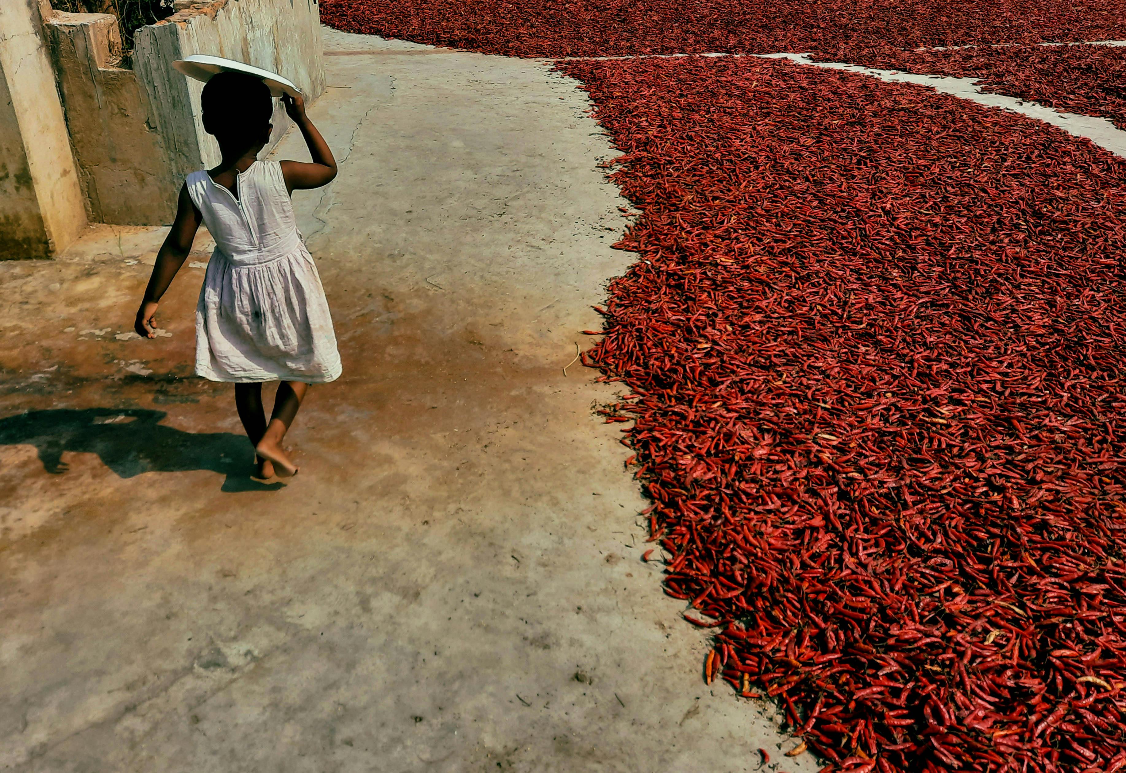 文化部推動北區九縣市飲食文化創生 食代生活美學市集展現成果