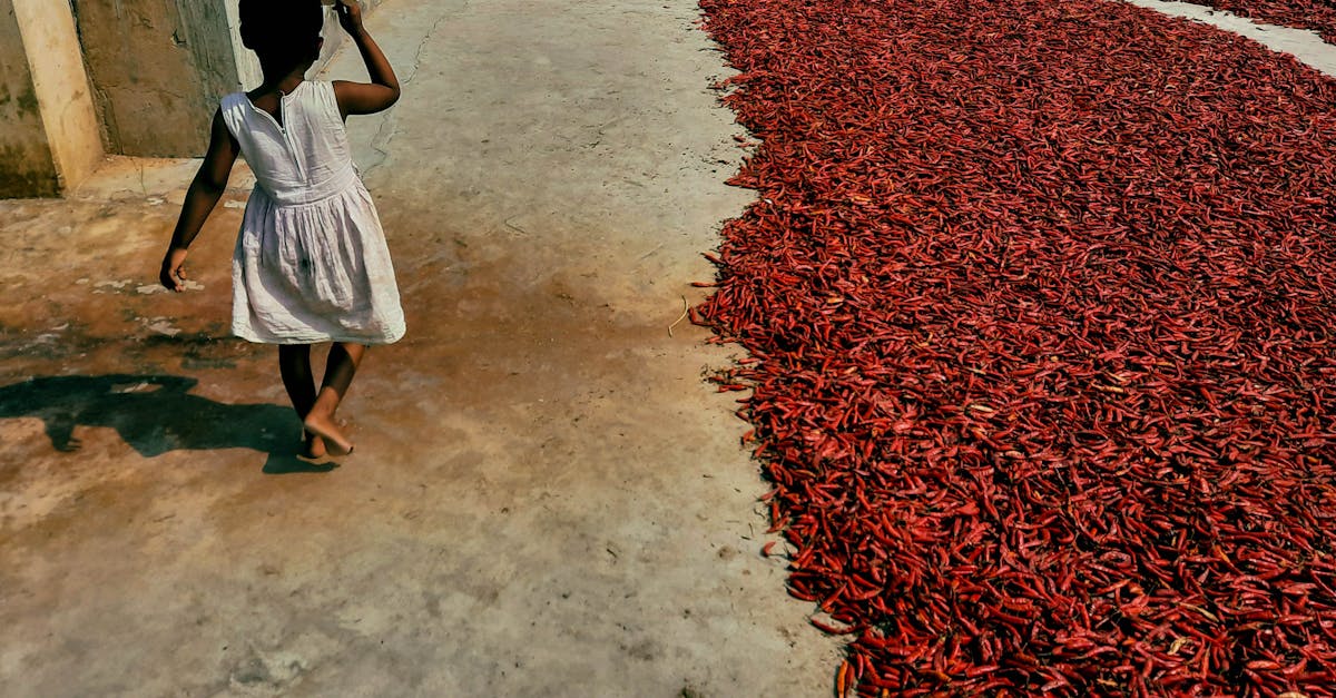 文化部推動北區九縣市飲食文化創生 食代生活美學市集展現成果