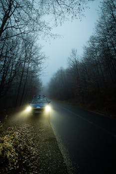 Car driving through a misty, dimly lit forest road at night, creating an eerie atmosphere.