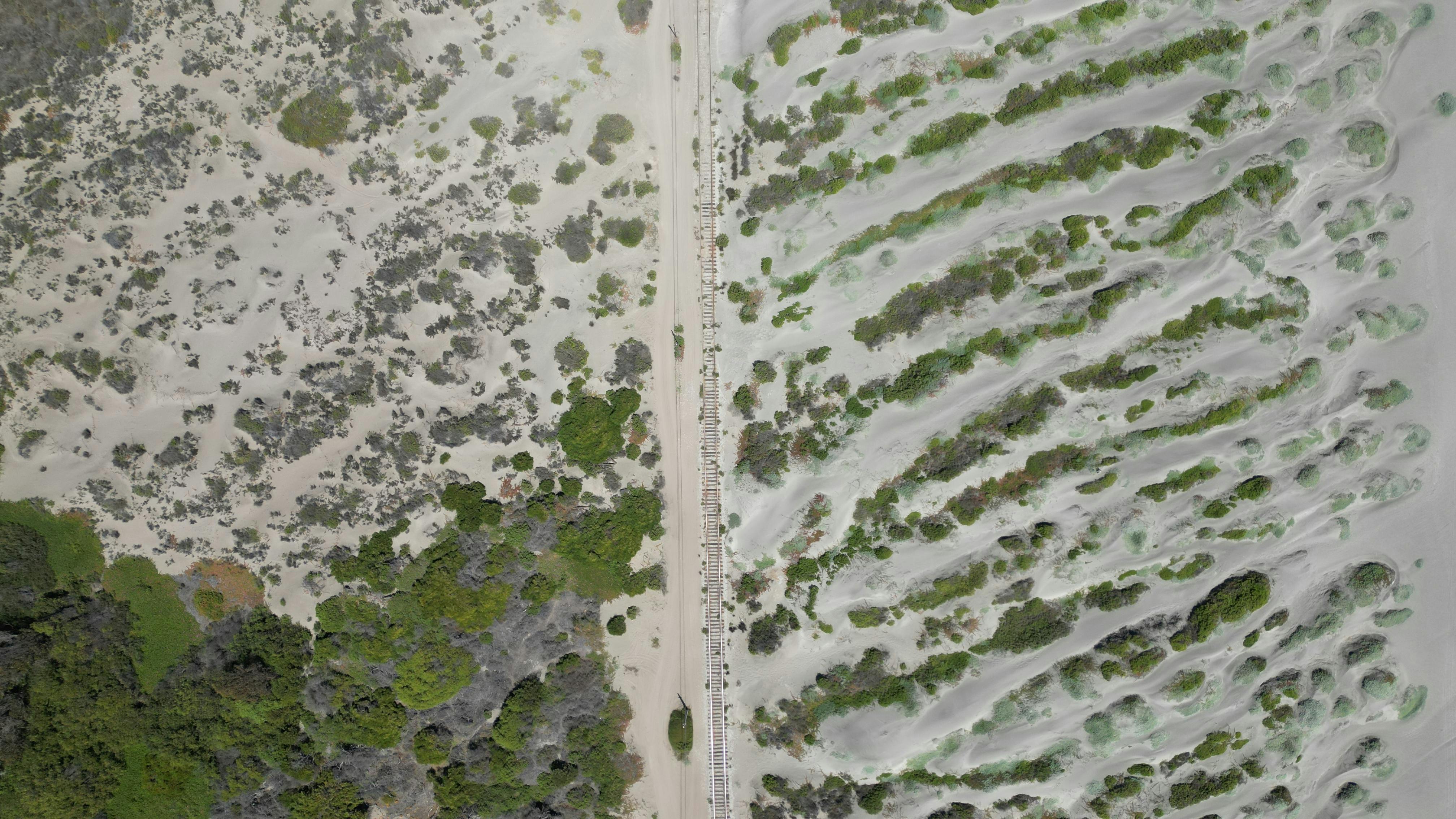 The green mile: charting the bumpy road to sustainable urban mobility — Photo by Kristian Bechthold on Pexels