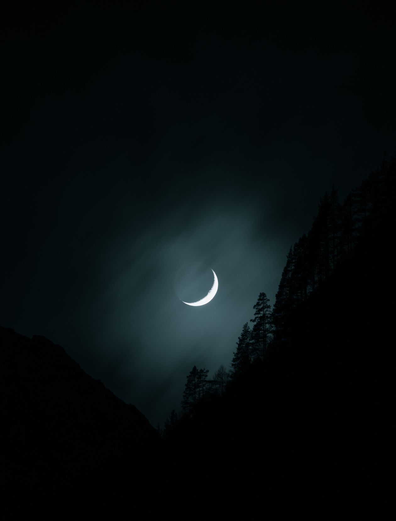 Luna crescente tra le nubi sopra la sagoma scura della foresta — il Patto Proibito
