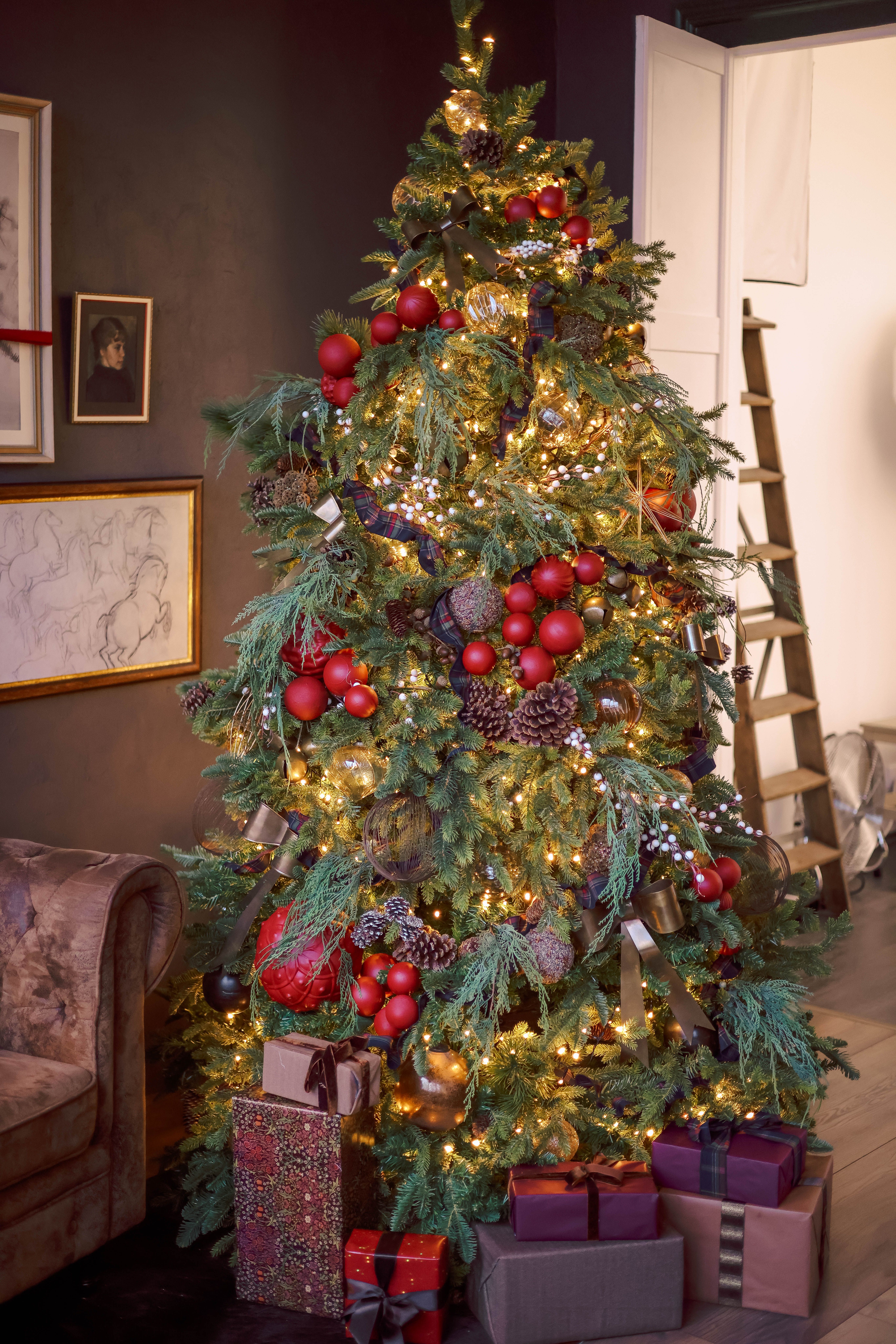 Green Christmas Tree With Red Baubles and String Lights · Free Stock Photo