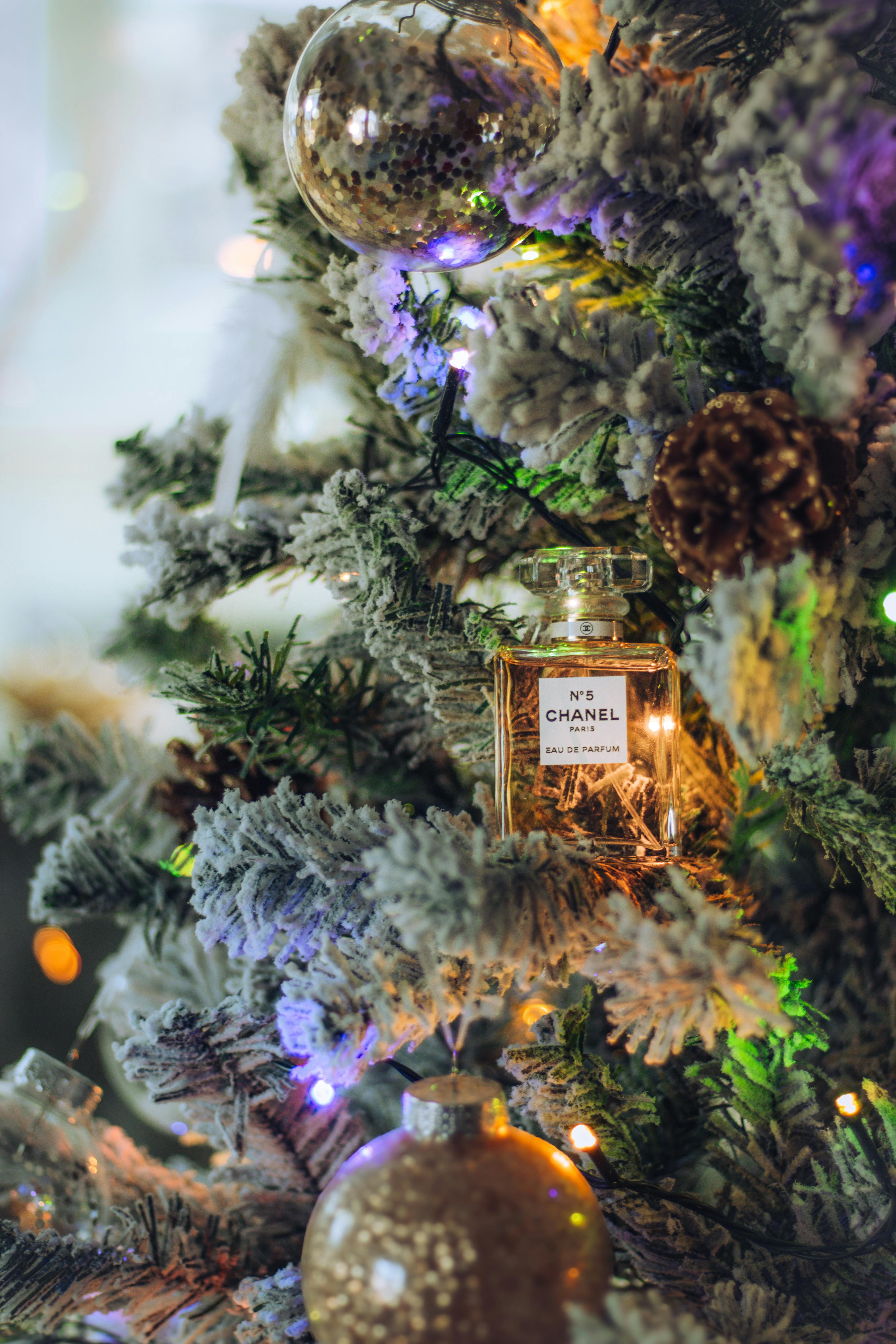 Bakırköy'de Eşyalı Daire Kiralamanın Kiracılara Sağladığı 5 Kritik Faydası