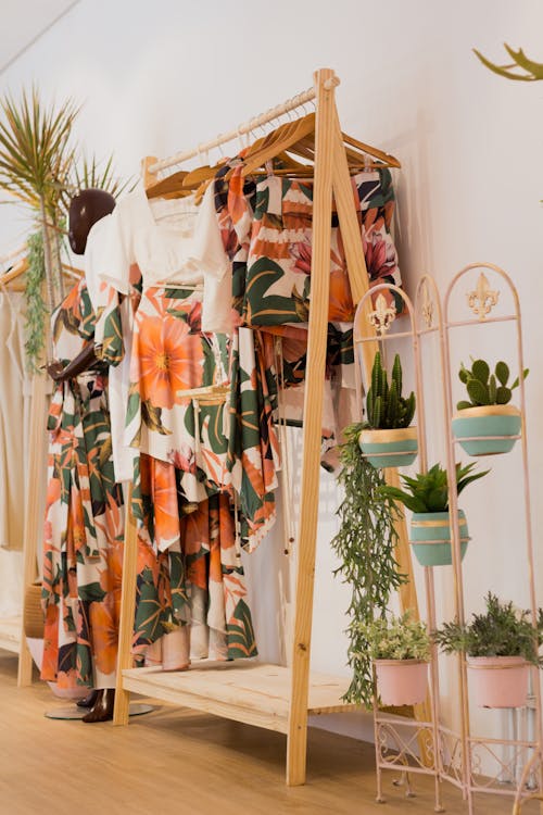 Green Potted Plants on Brown Wooden Rack