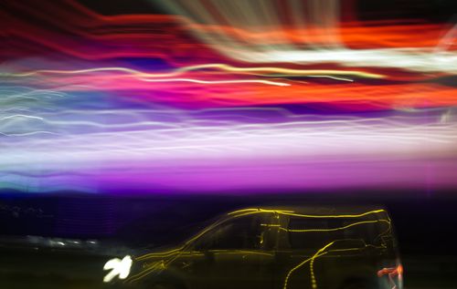 Free stock photo of car, colors, cows Stock Photo