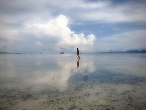 Free stock photo of beach, girl, lights reflection