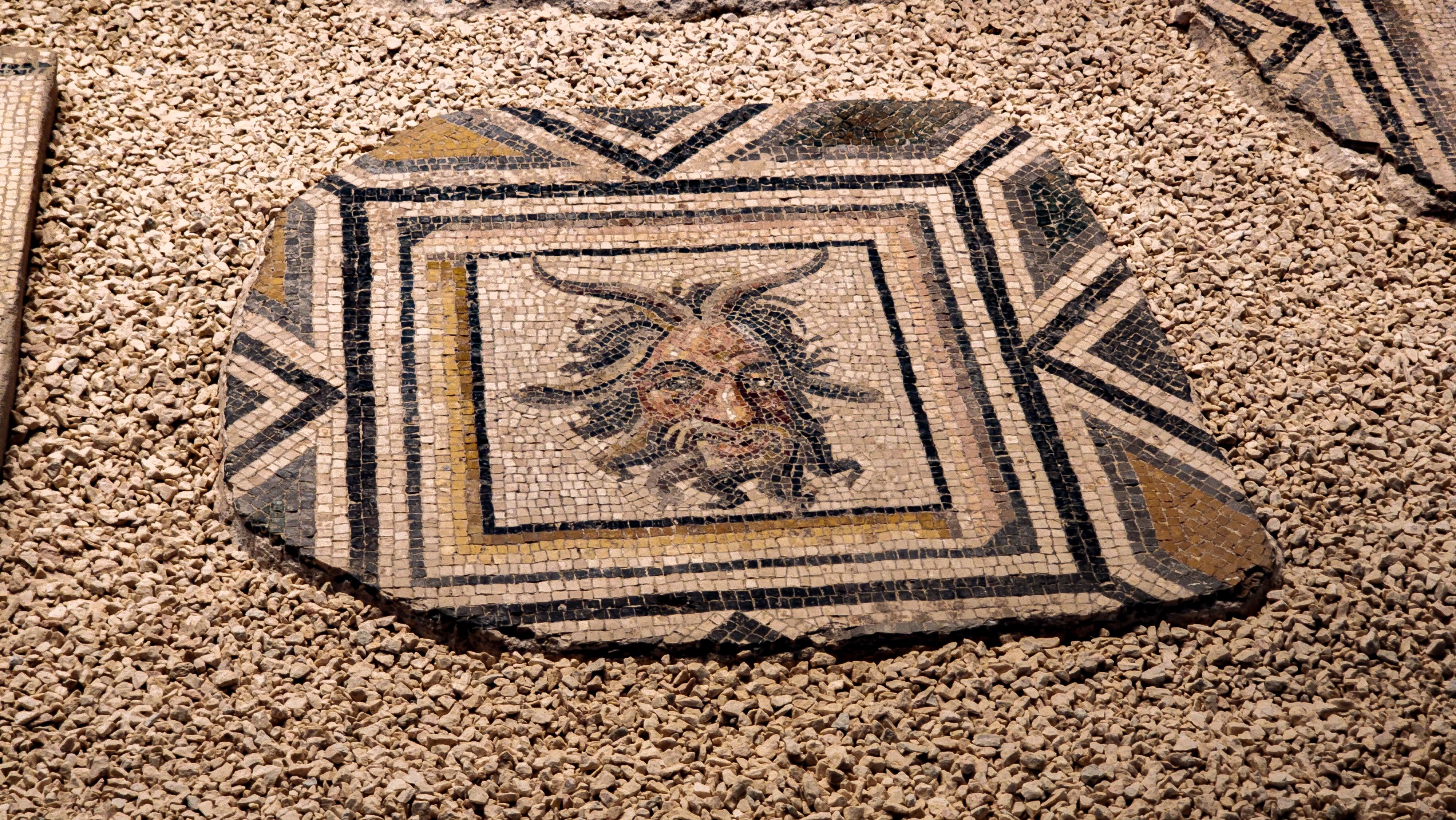 Visite du Musée du Patrimoine Djerbien