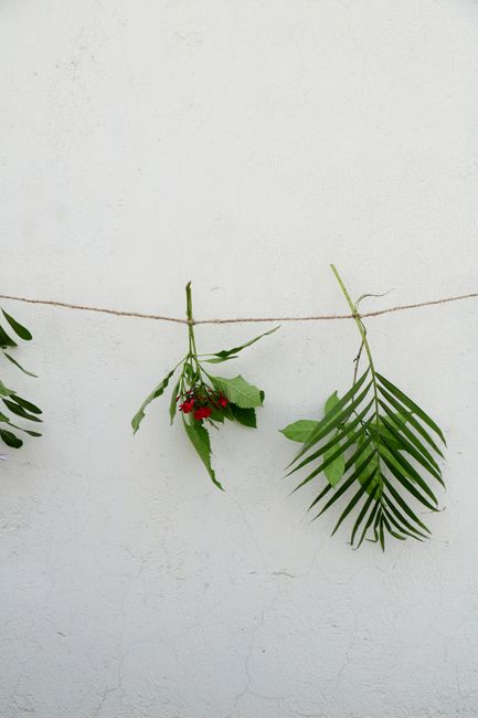 String with small heaps of green leaves and plants against plaster white wall