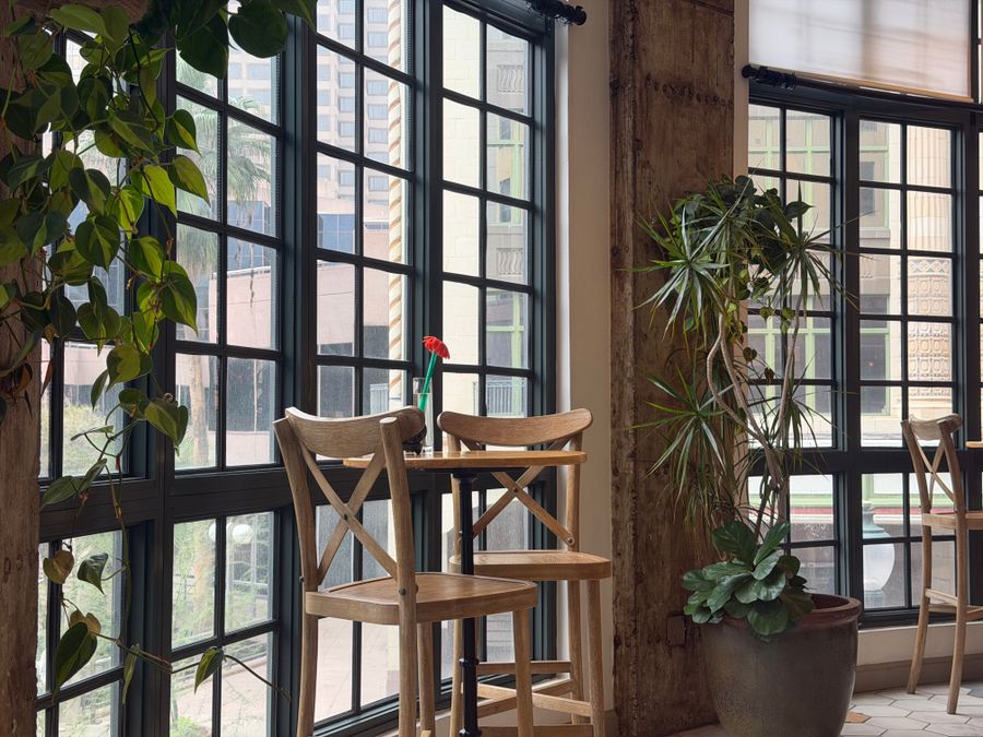 Cafe interior with houseplants by Lesli Whitecotton on Pexels