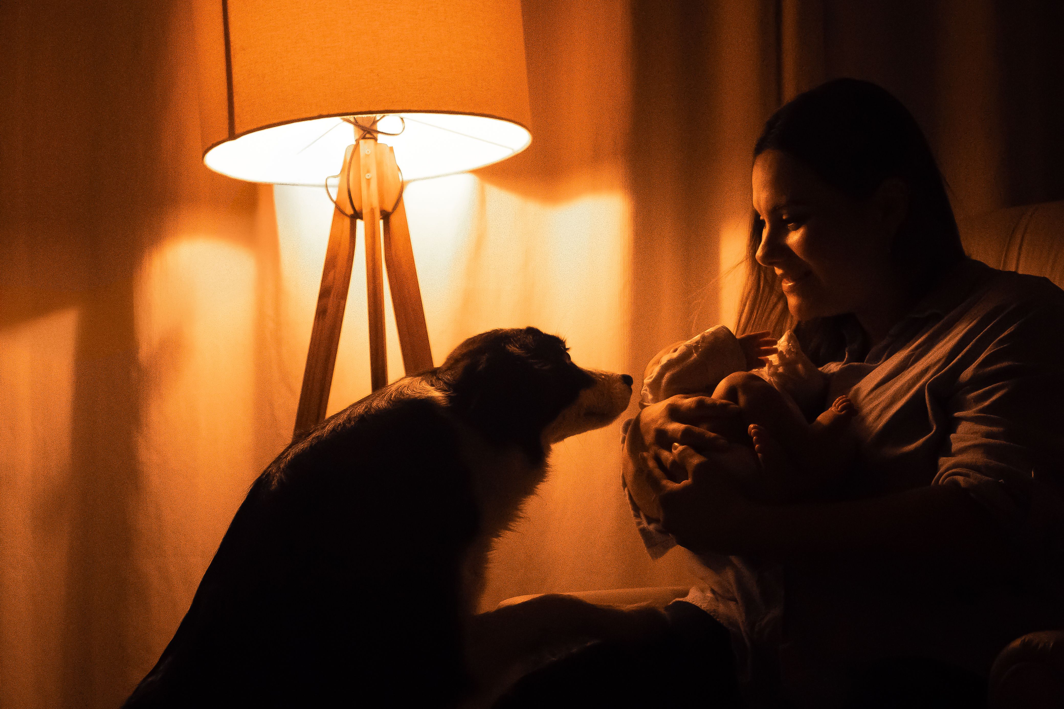 A touching scene of a woman holding a baby while a dog watches, lit by a lamp.