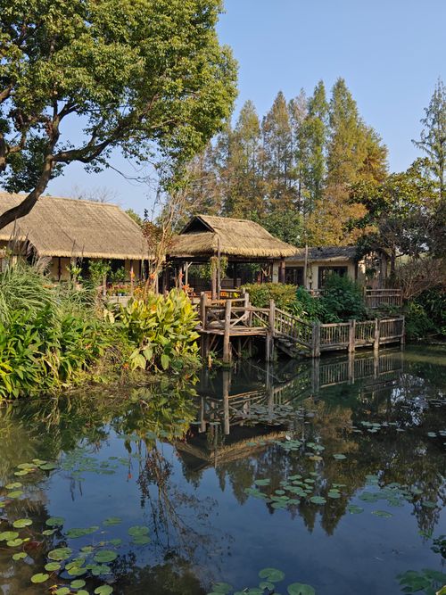 Free Rustic thatched huts by a serene pond with lush greenery and reflections. Stock Photo