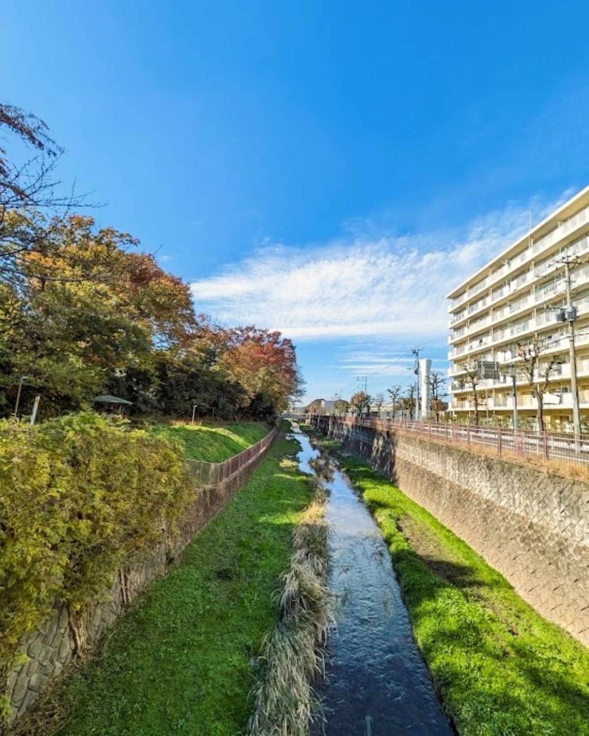 日本の川辺と紅葉した木々の風景のイメージ