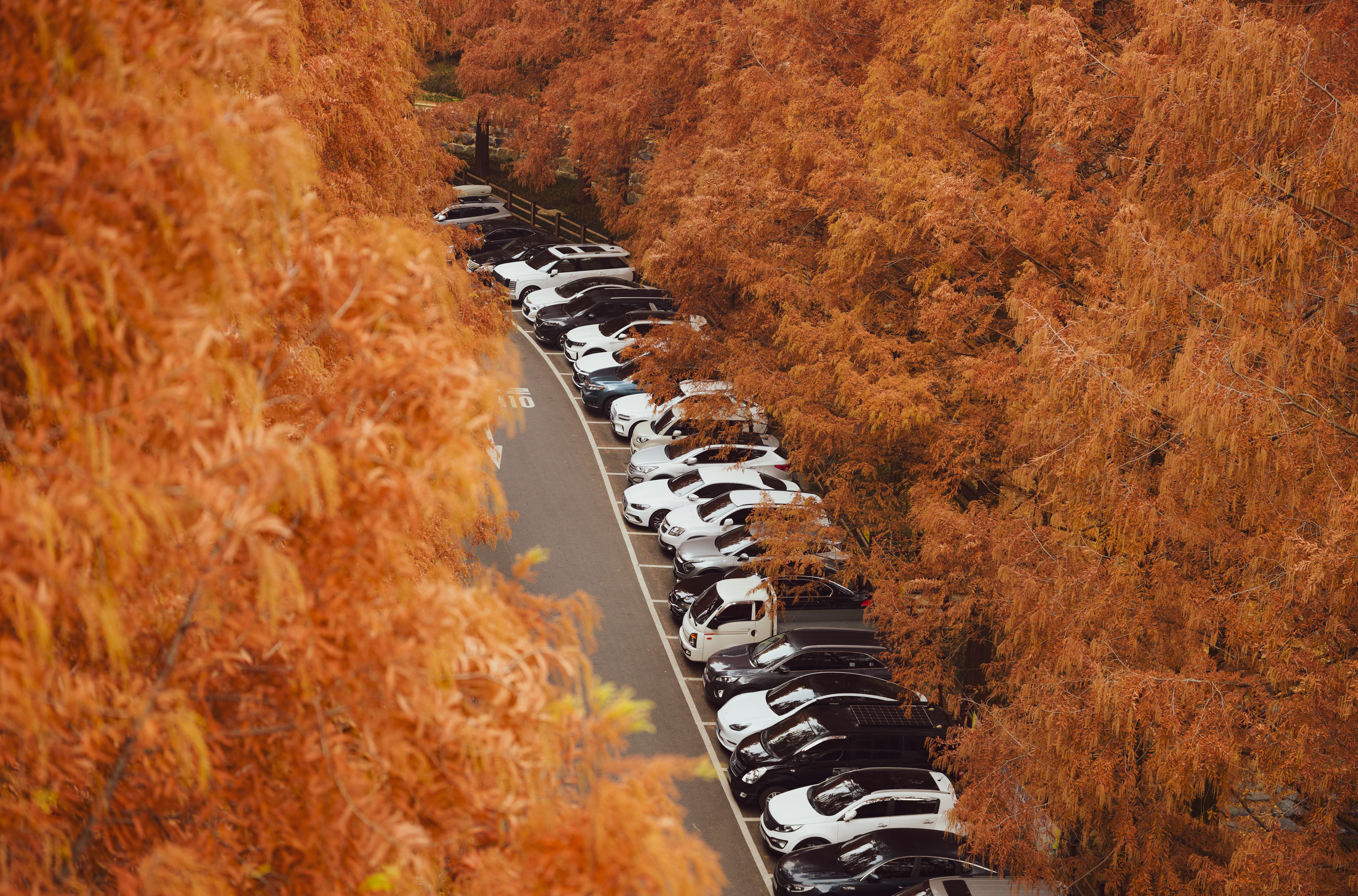 The Future of Transportation with Self-Driving Vehicles