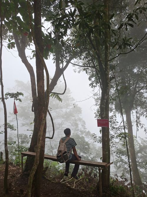 Free A person sits on a bench amidst a foggy forest scene, capturing solitude and mystery. Stock Photo