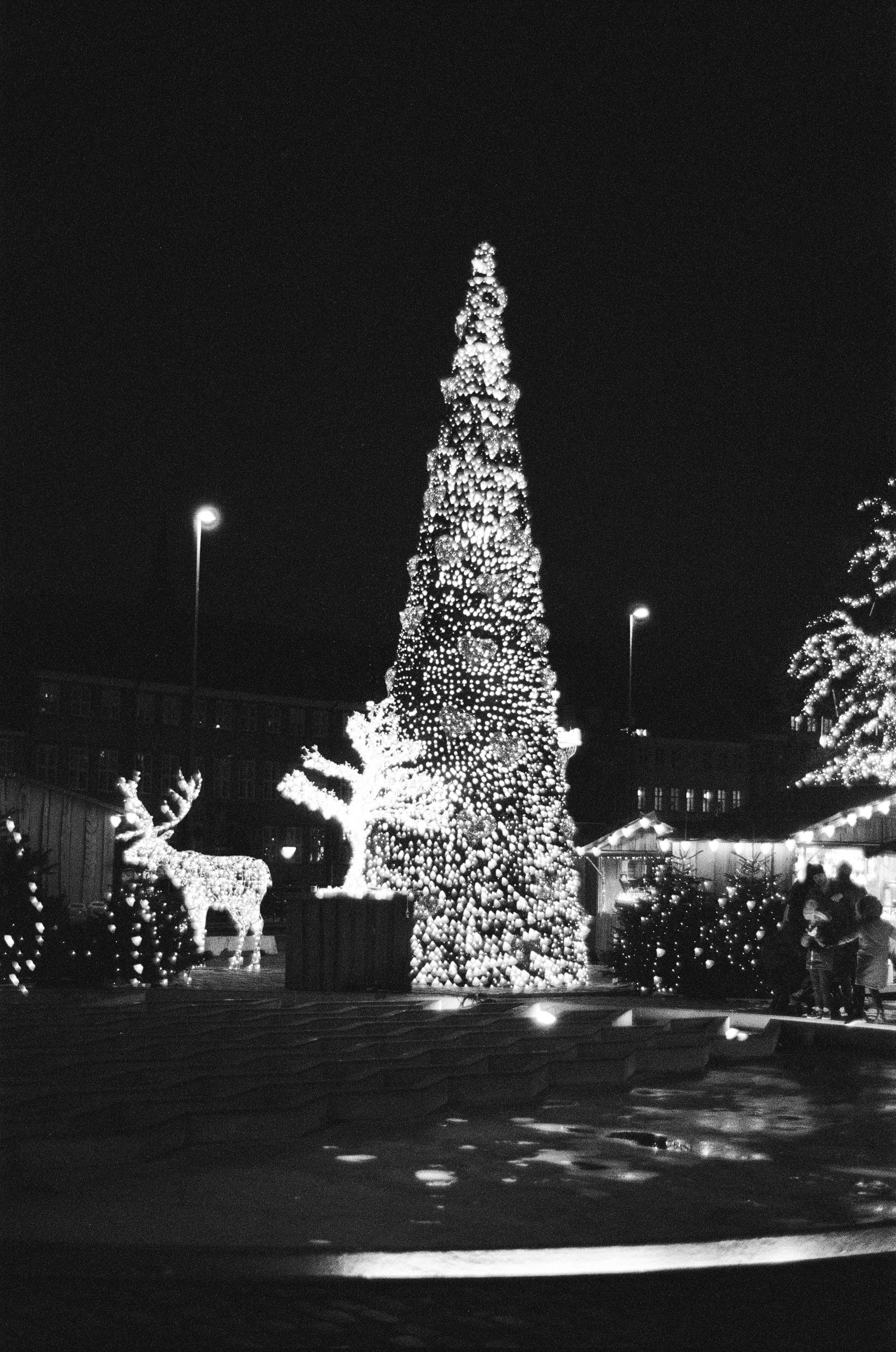 Boddetxmaefeb70
