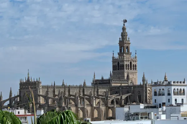 la cathédrale et la Giralda