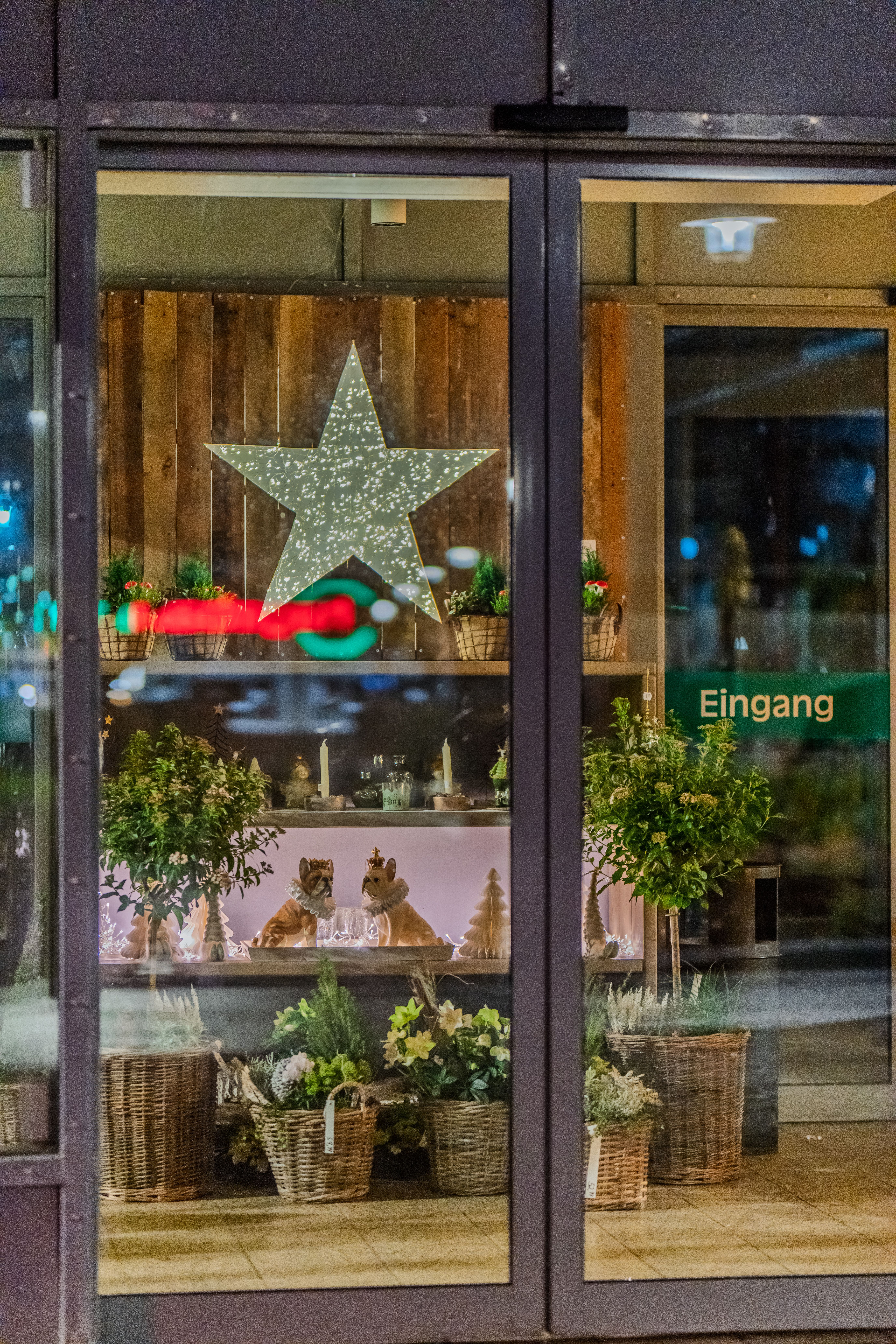 Decorative Window Display with Rustic Star · Free Stock Photo