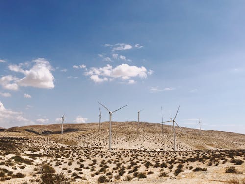 Foto profissional grátis de cenário, coachella, deserto