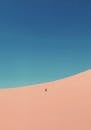 Person At A Desert Under Blue Sky