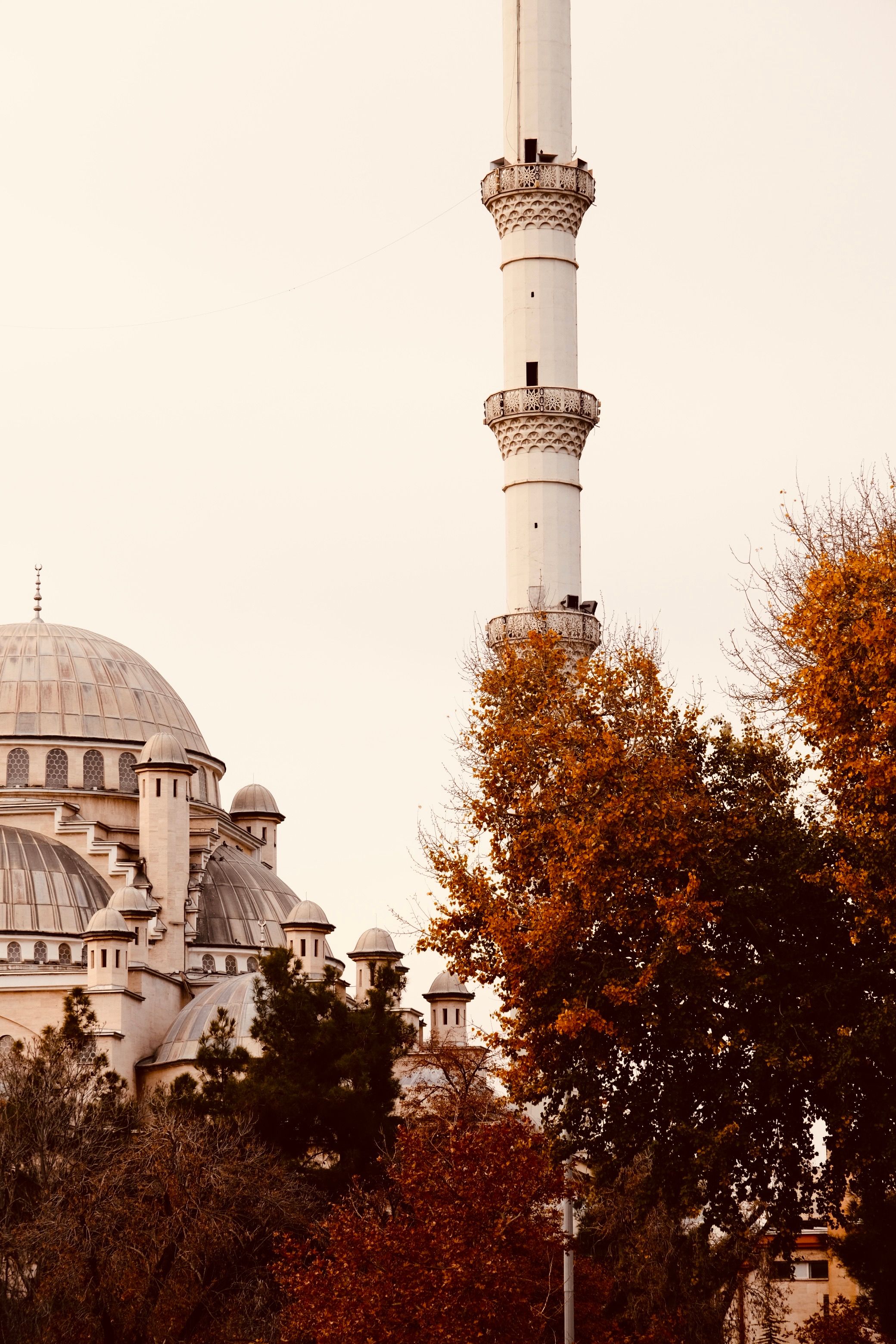 Majestic Mosque with Fall Foliage · Free Stock Photo