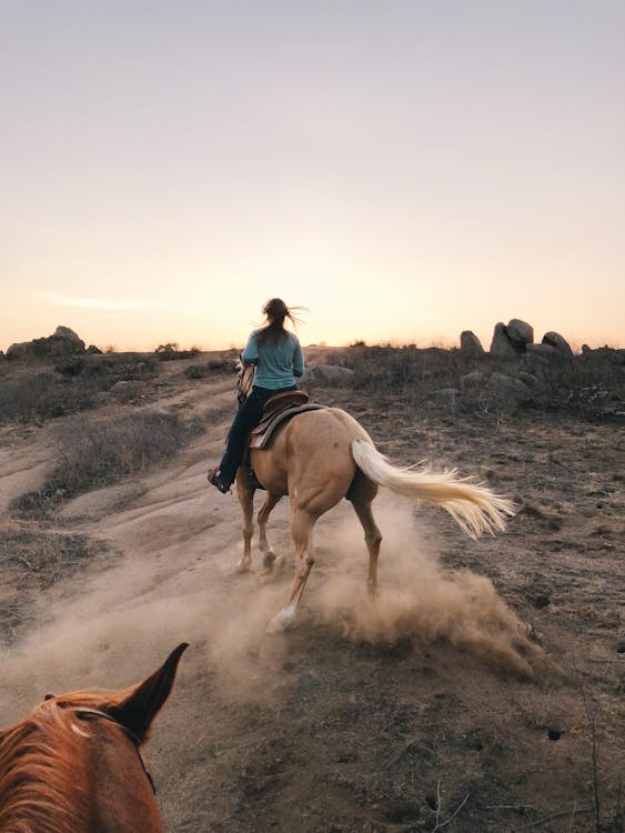 Photo of Person Riding a Horse · Free Stock Photo