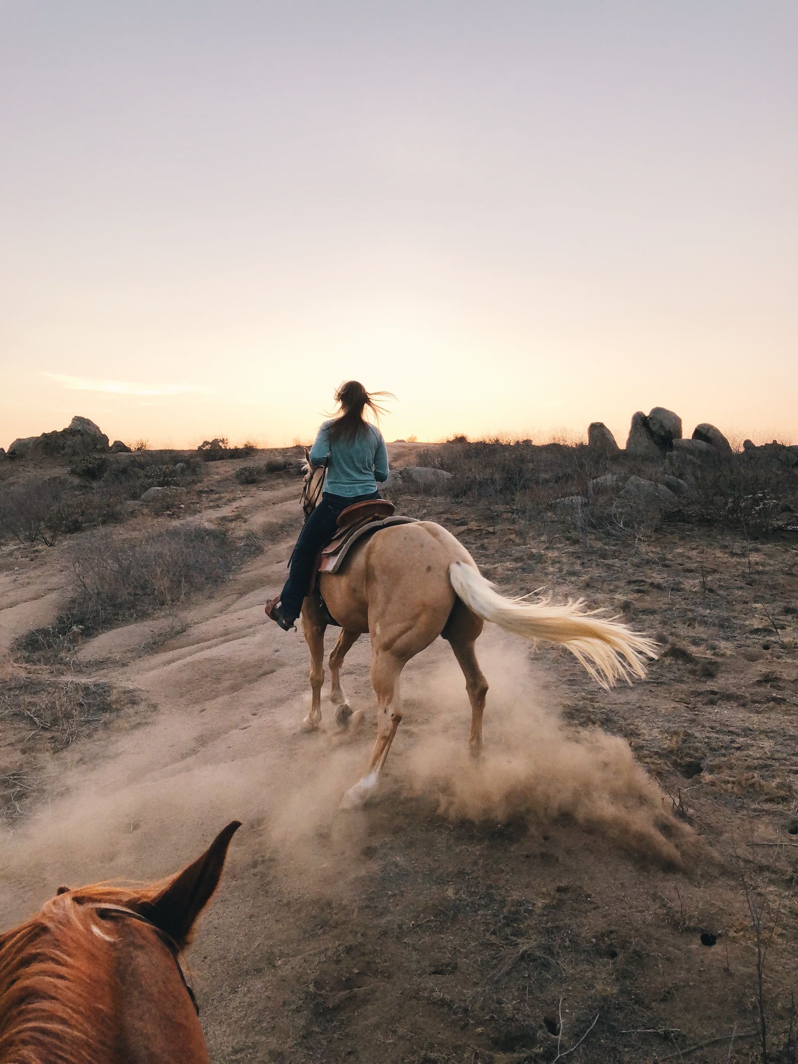 Horseback rider in a saddle, matching back brace selection for riding posture and low-profile lumbar support. Photo: Pexels.