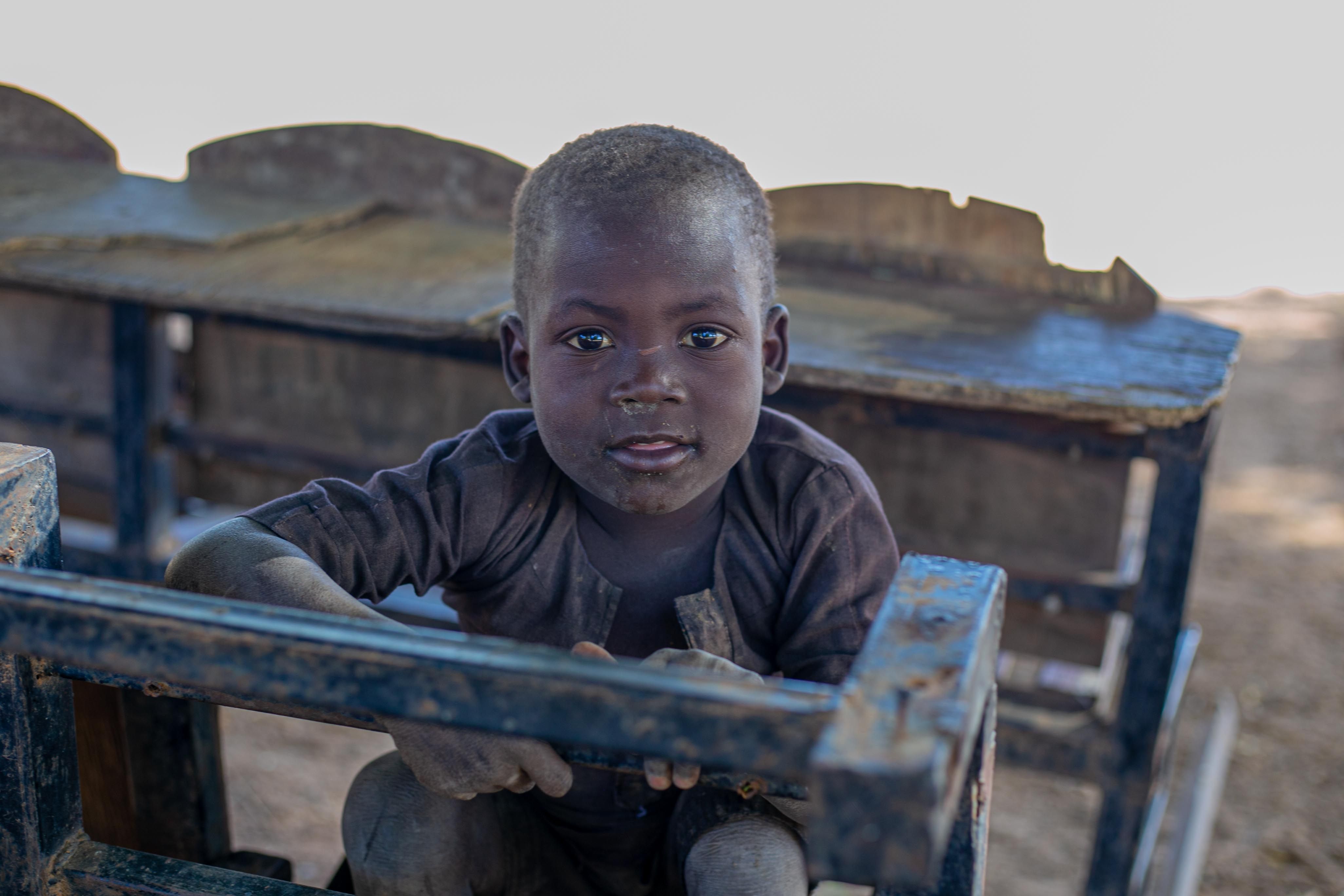 Portrait of a Child in Outdoor Setting · Free Stock Photo