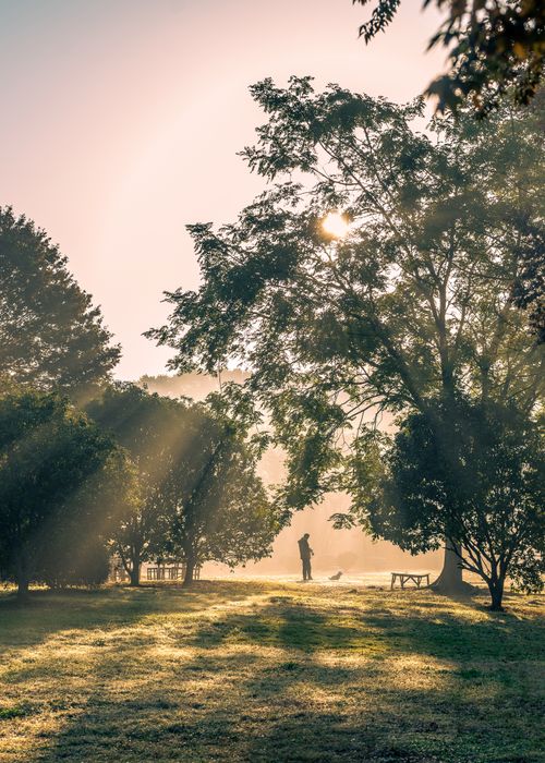 Free Peaceful morning sunlight casts long shadows in a Nanjing park with a solitary figure walking. Stock Photo