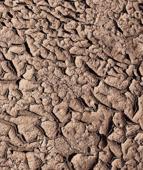 Foto profissional grátis de deserto, erosão, lama