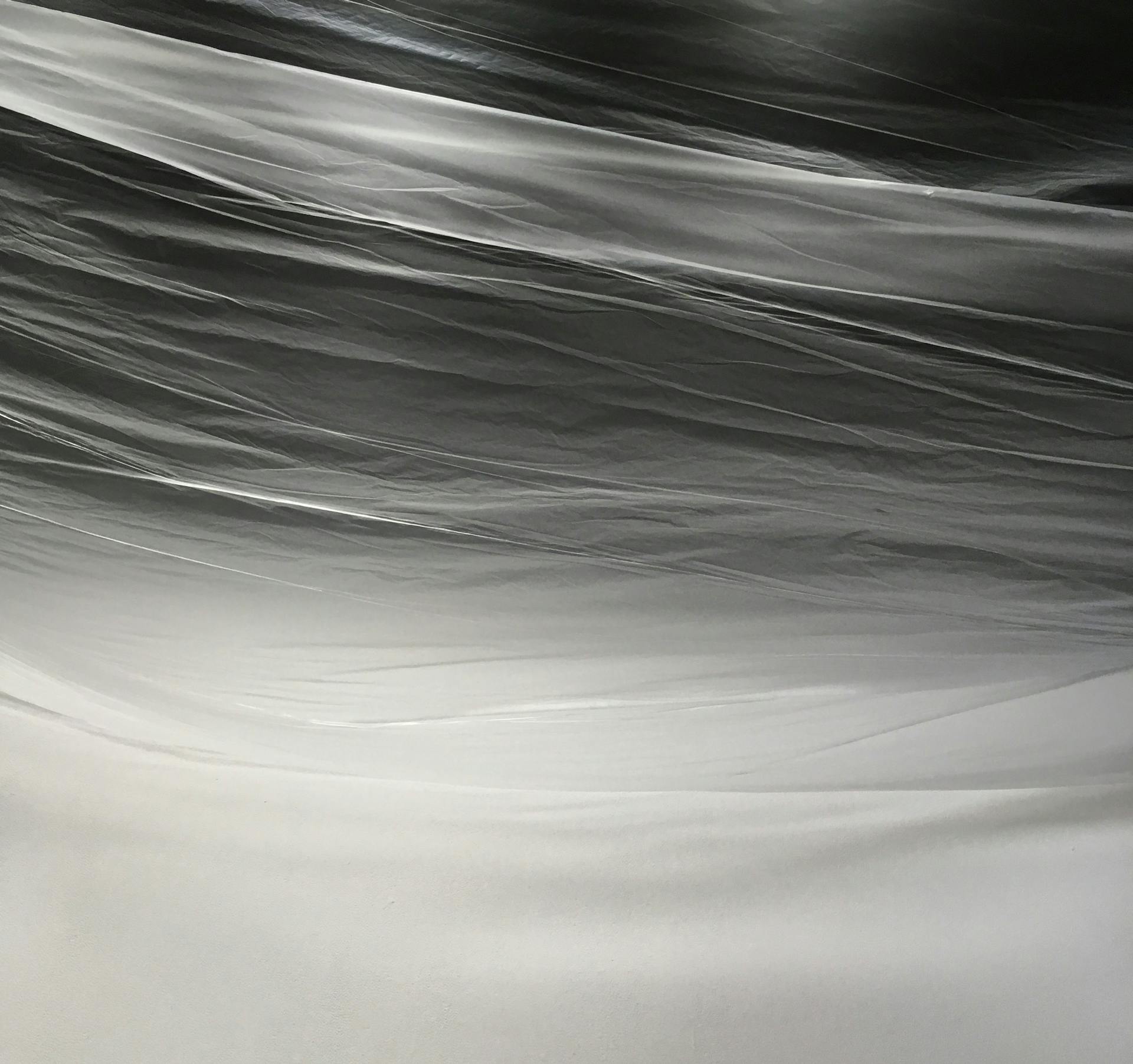 Plastic Bag Texture