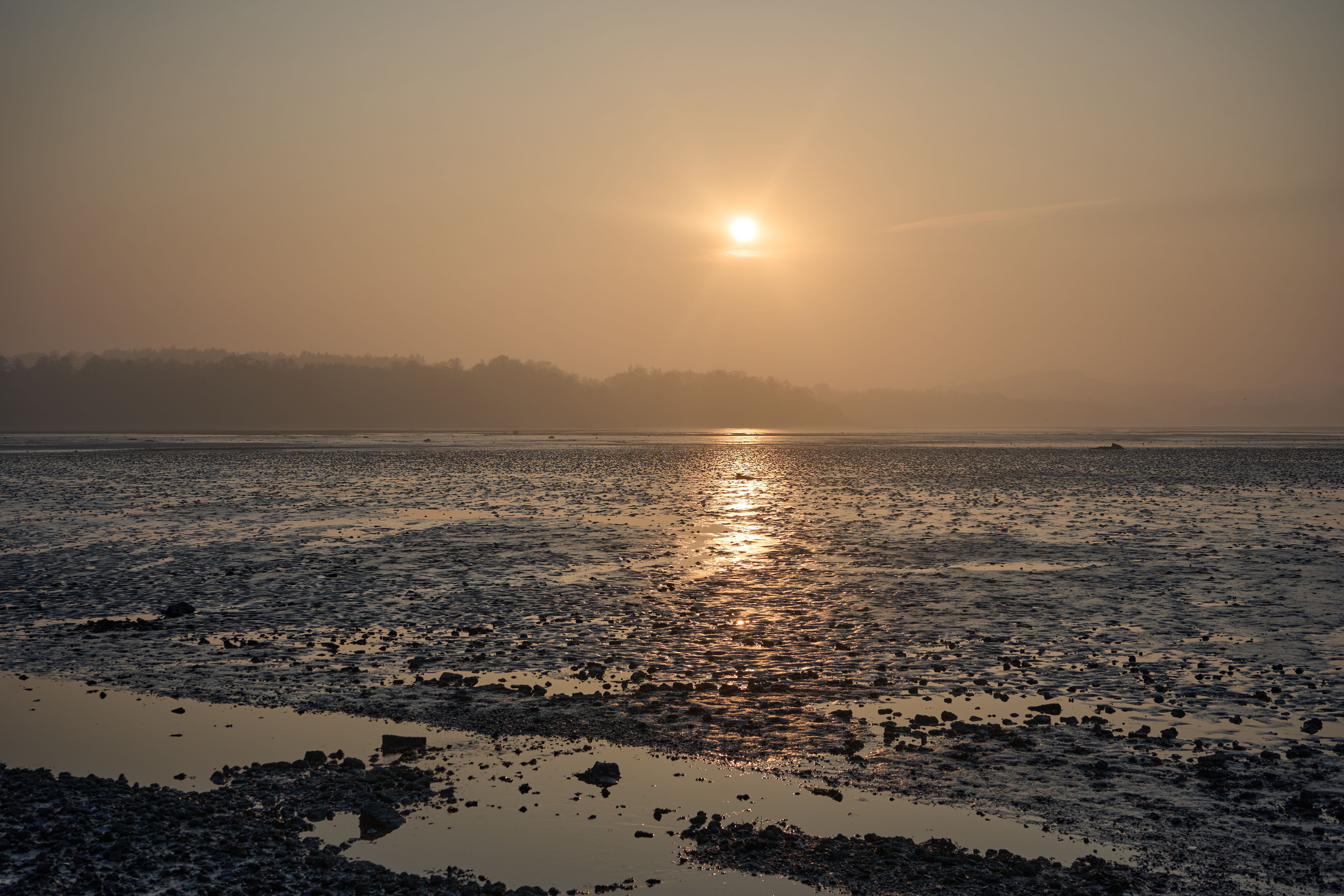 Sunset over reflective tidal mudflats — photo by Valentine Kulikov on Pexels
