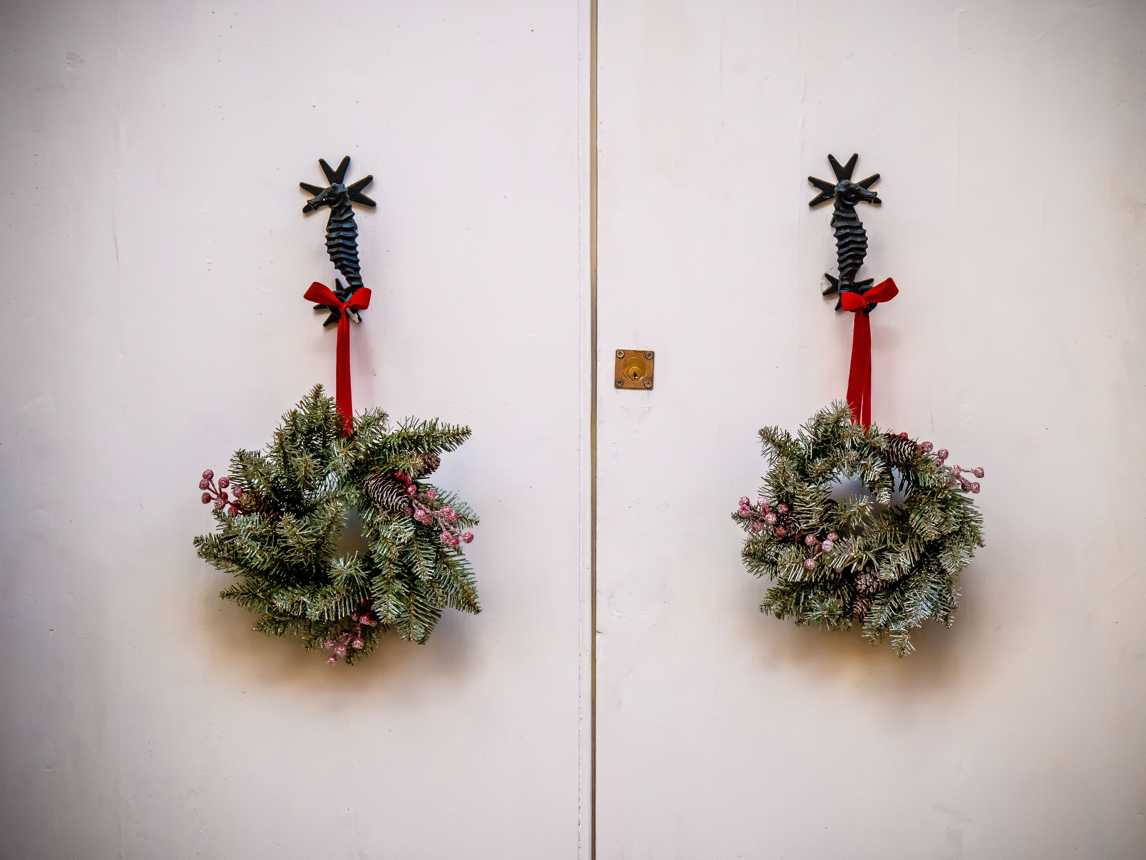 Christmas arrives at the White House. See photos, video of decor. — Photo by The Daphne Lens on Pexels