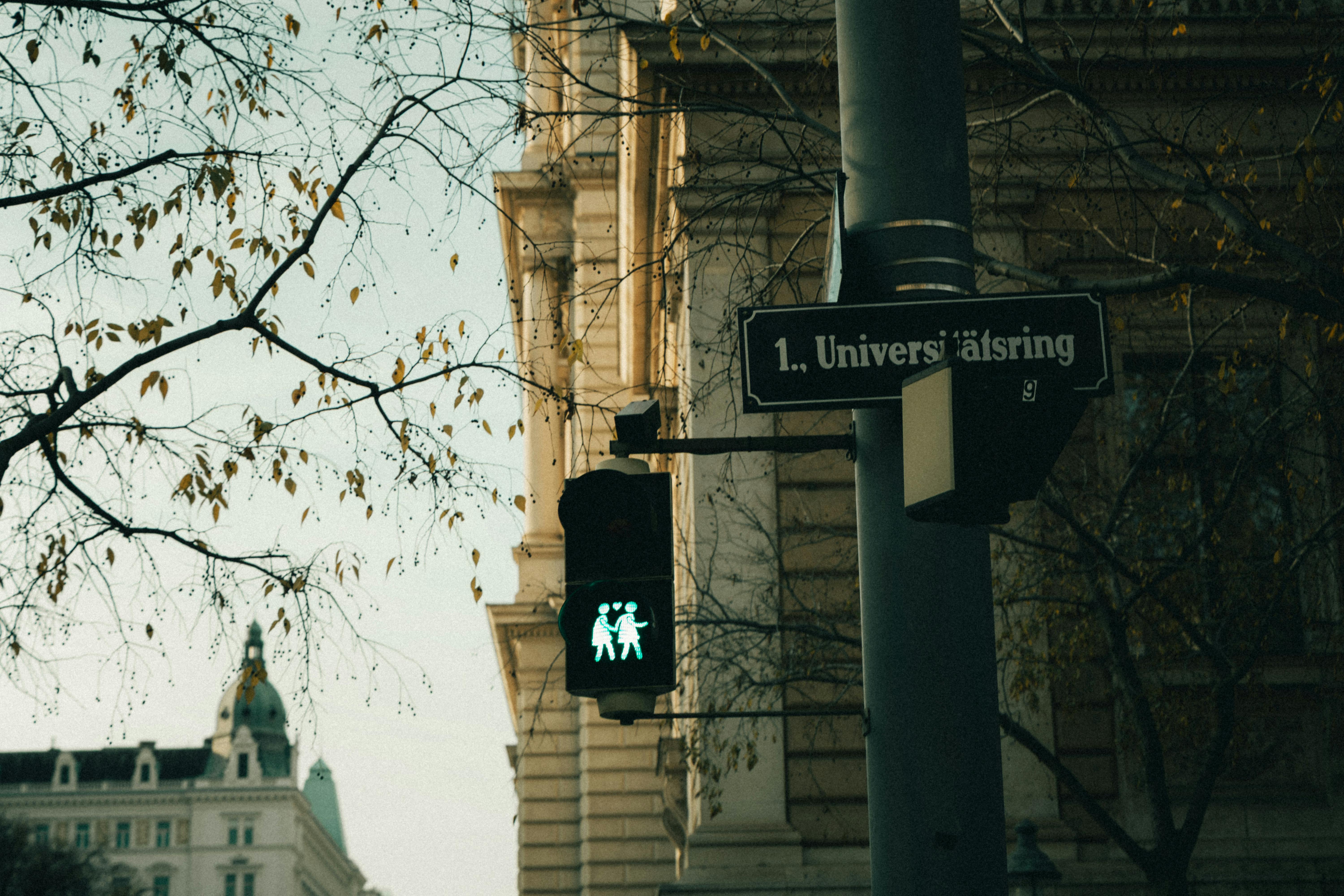 Gratuit Scène de rue à Vienne montrant un feu de circulation et un panneau de signalisation à l'intersection de l'Universitätsring. Photos