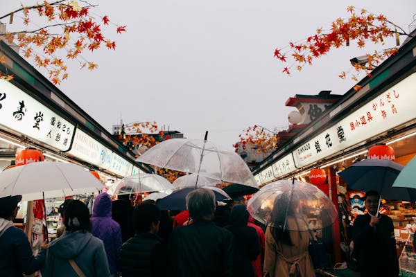 Hoa Roi Cua Phat Nguyen Si Kha • Rainy Day Memories • 2023