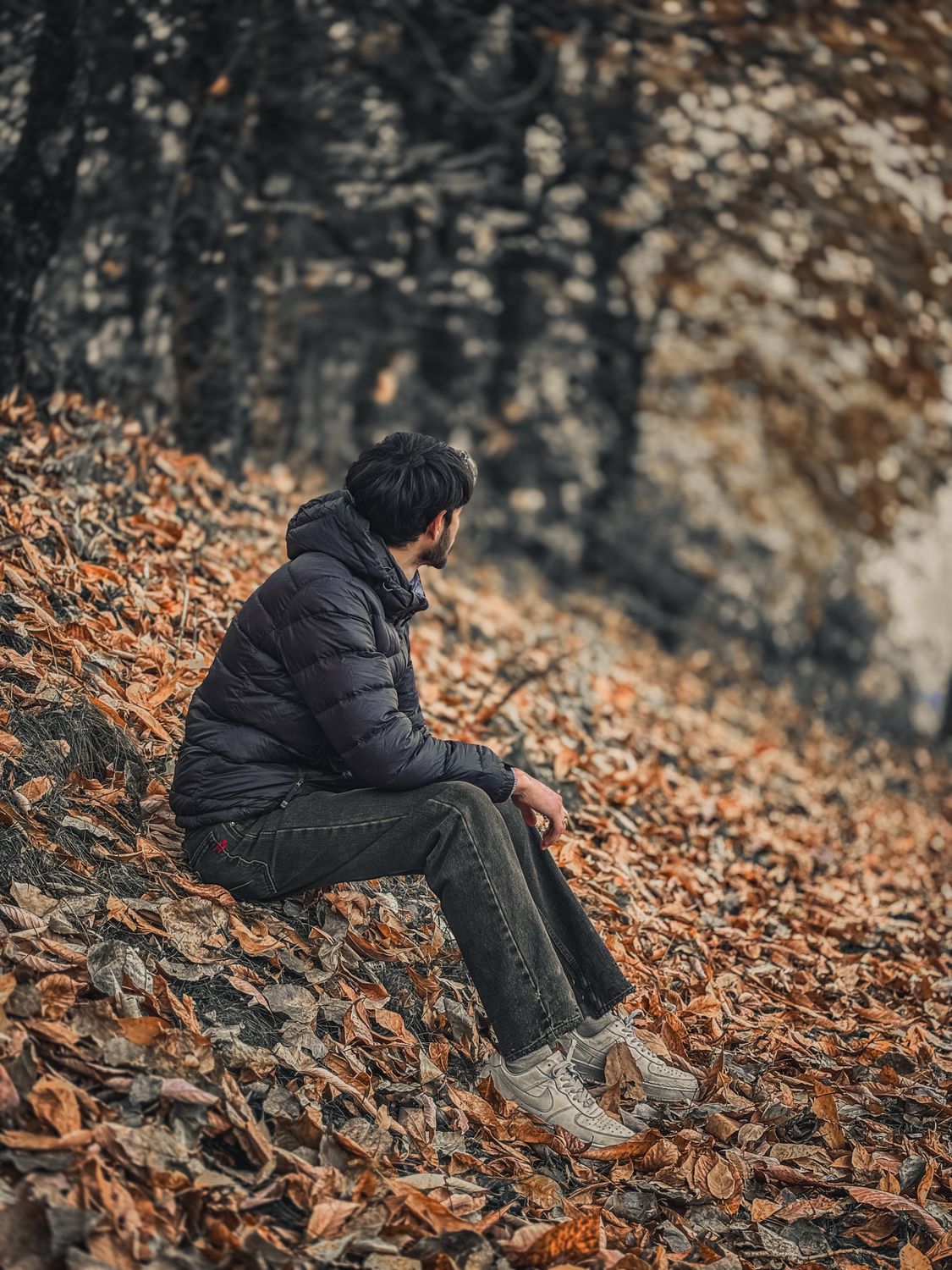 Man Fall Front View Man Sitting on Leaf-Covered Ground in Fall Scene · Free Stock Photo