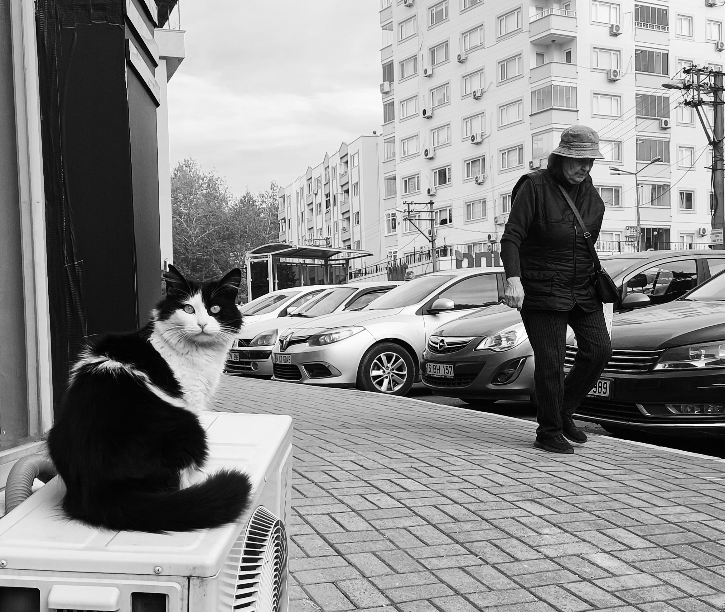 Street scene featuring a cat sitting on a unit and a person walking by parked cars in monochrome.