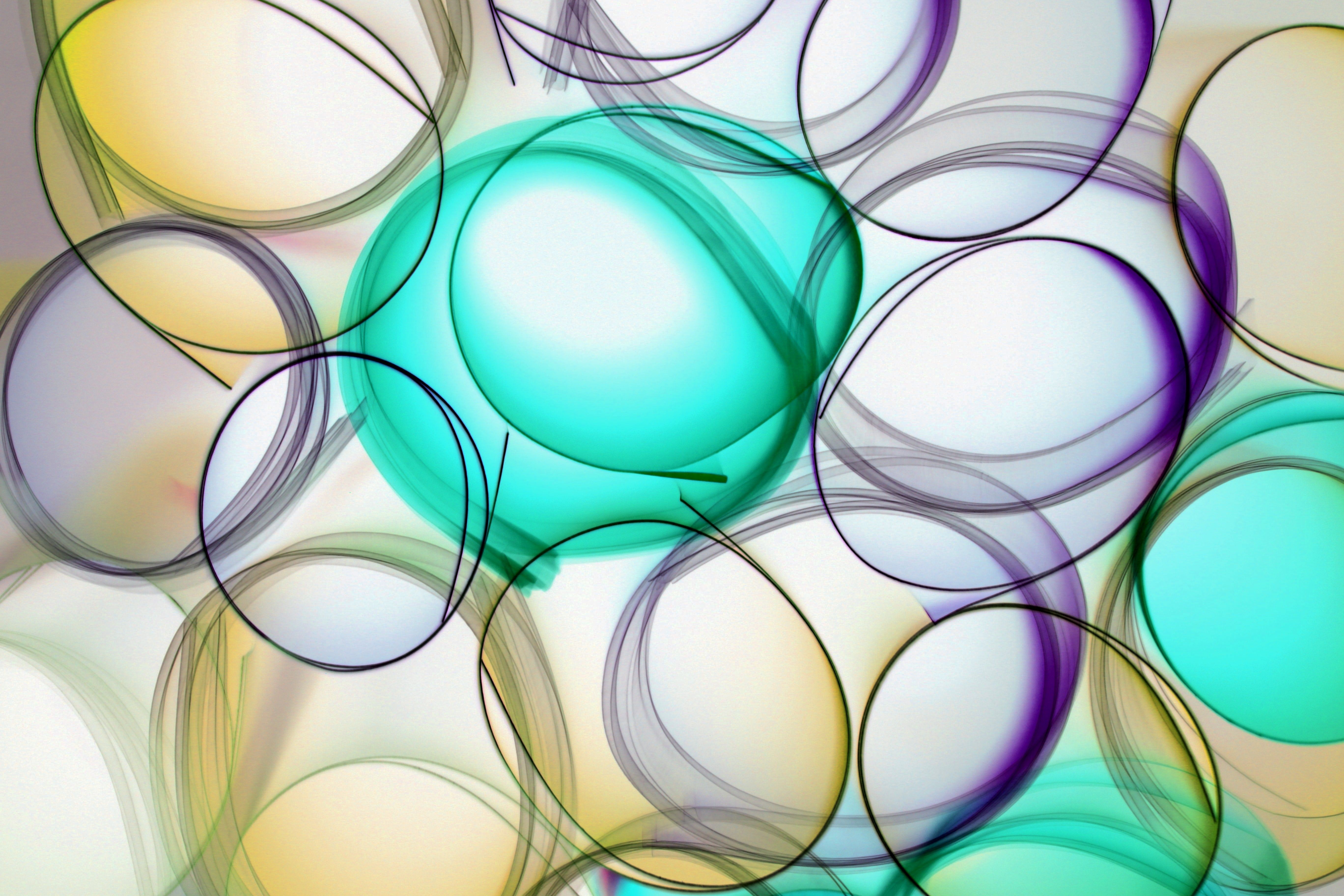 Colorful Abstract Circles Art in Vibrant Hues · Free Stock Photo