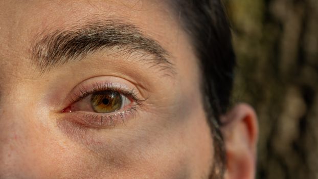 Detailed close-up of a human eye with brown iris reflecting natural light.